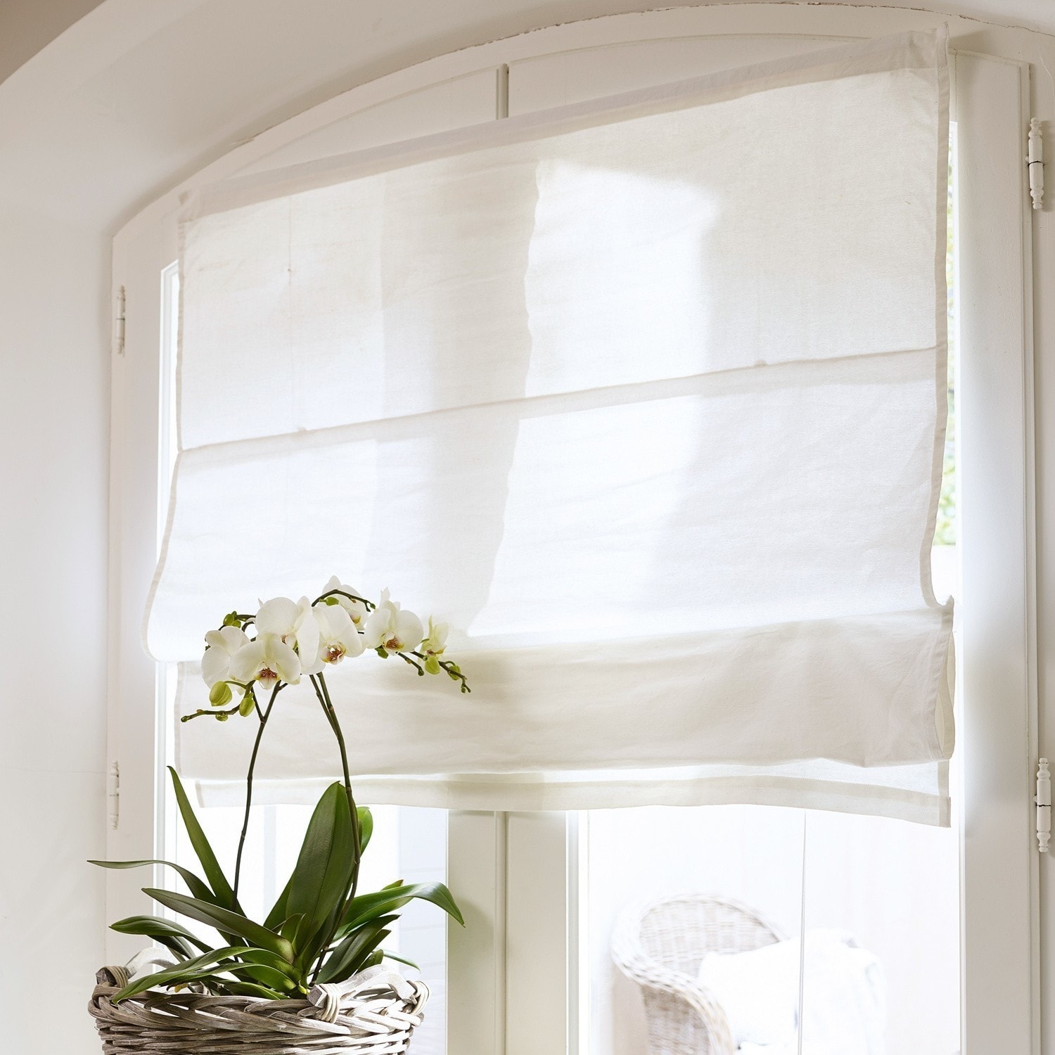 Tenda a pacchetto Fides Tenda a rullo romana in lino bianco su finestra con orchidea bianca in cesta di vimini