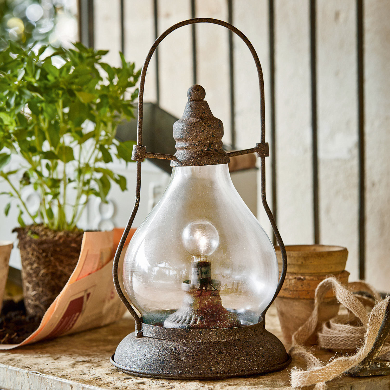 Lanterna a LED Cortney Lampada rustica in metallo con paralume in vetro trasparente e lampadina su tavolo con pianta