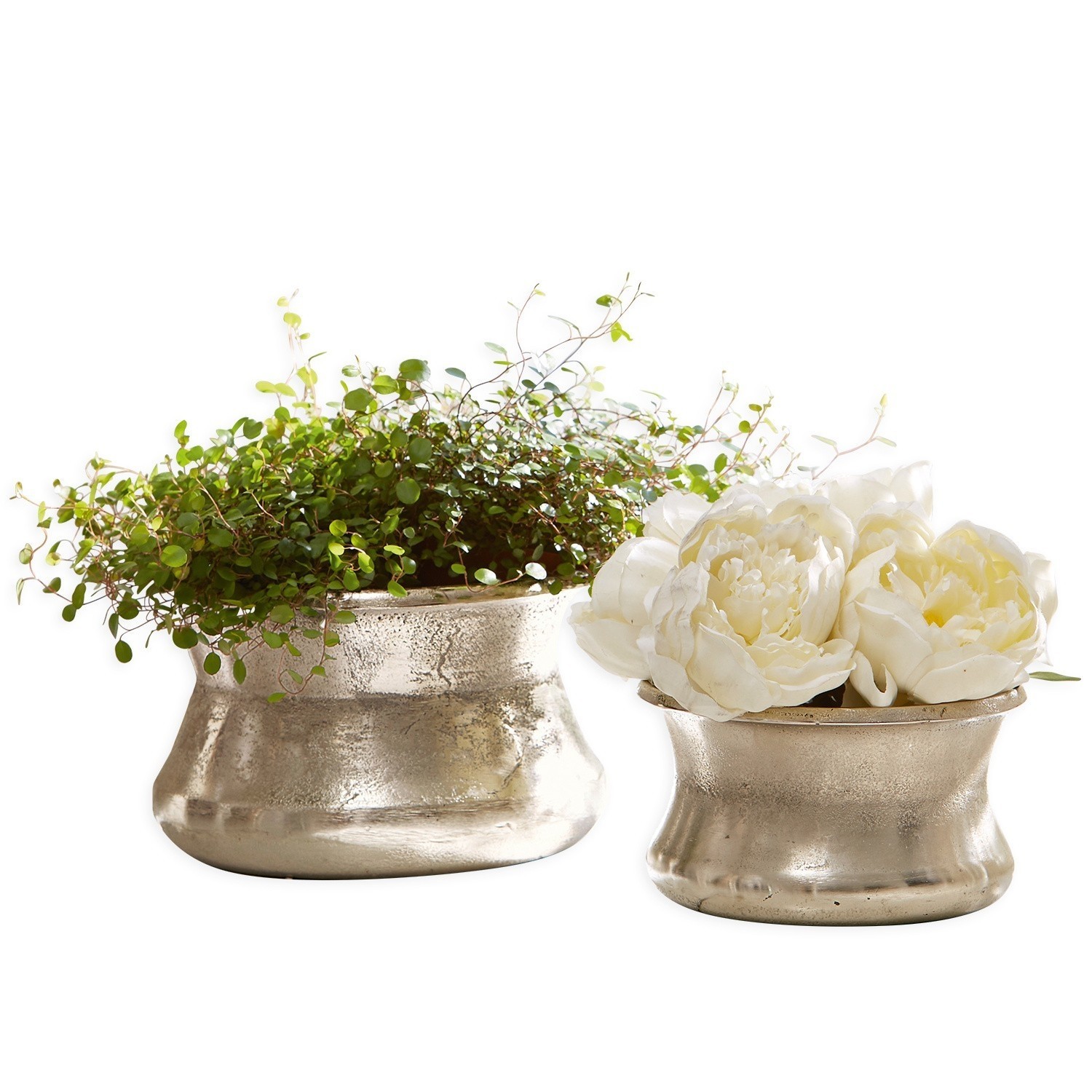 Coppia di vasi Riona Set di due vasi in metallo argentato con piante verdi e fiori bianchi per decorazione d'interni