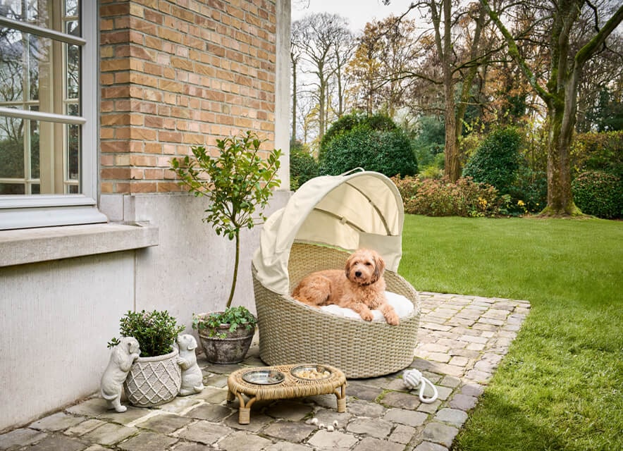 Un’estate di relax