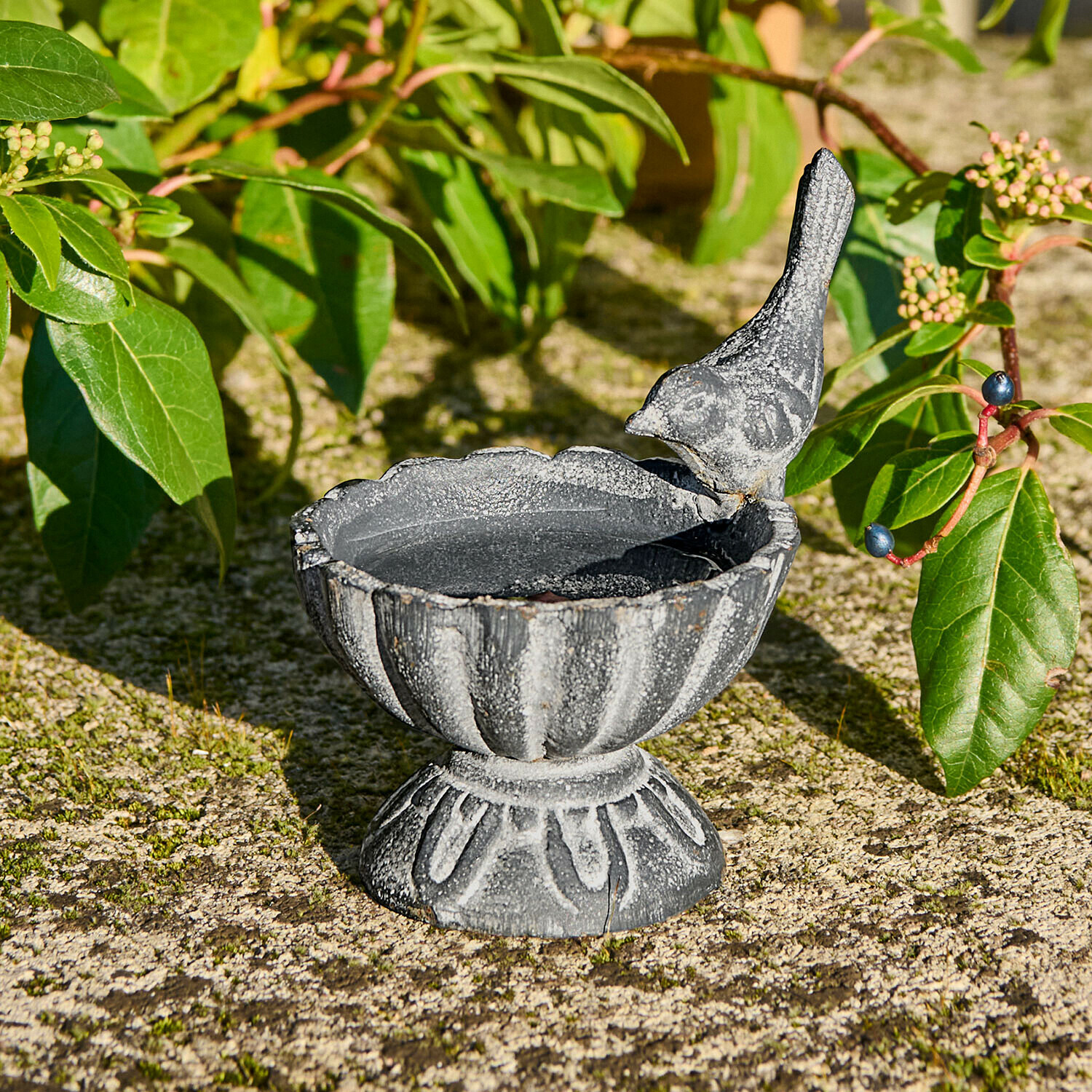 Abbeveratoio per uccellini Méravon