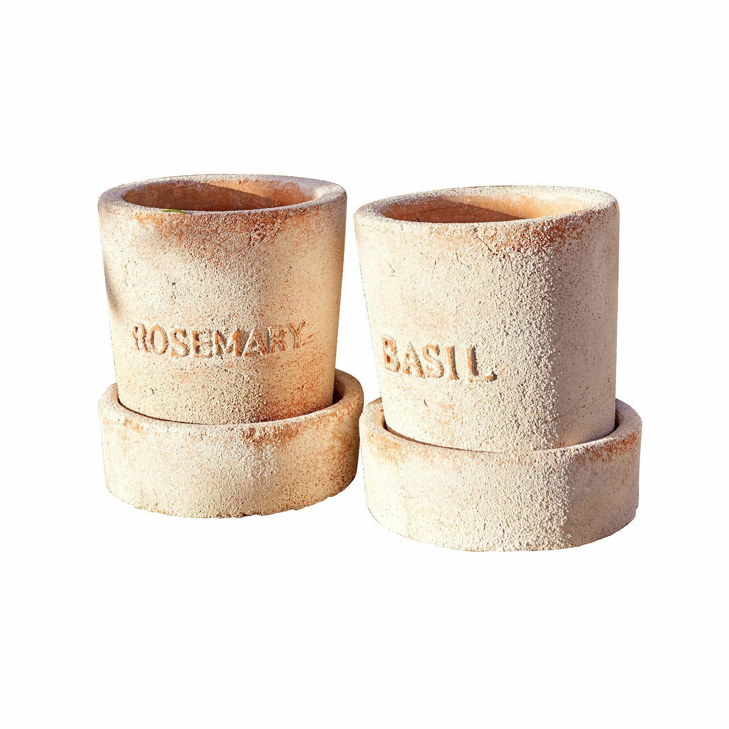 Coppia di portavasi Basil & Rosemary