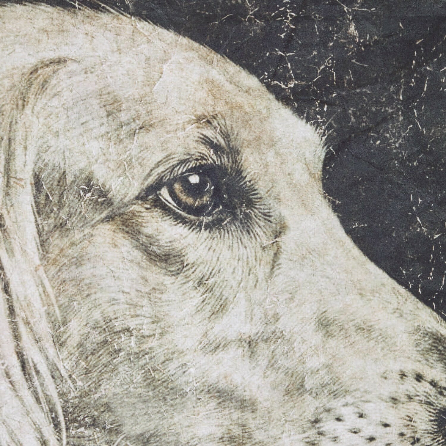 Quadro Célou