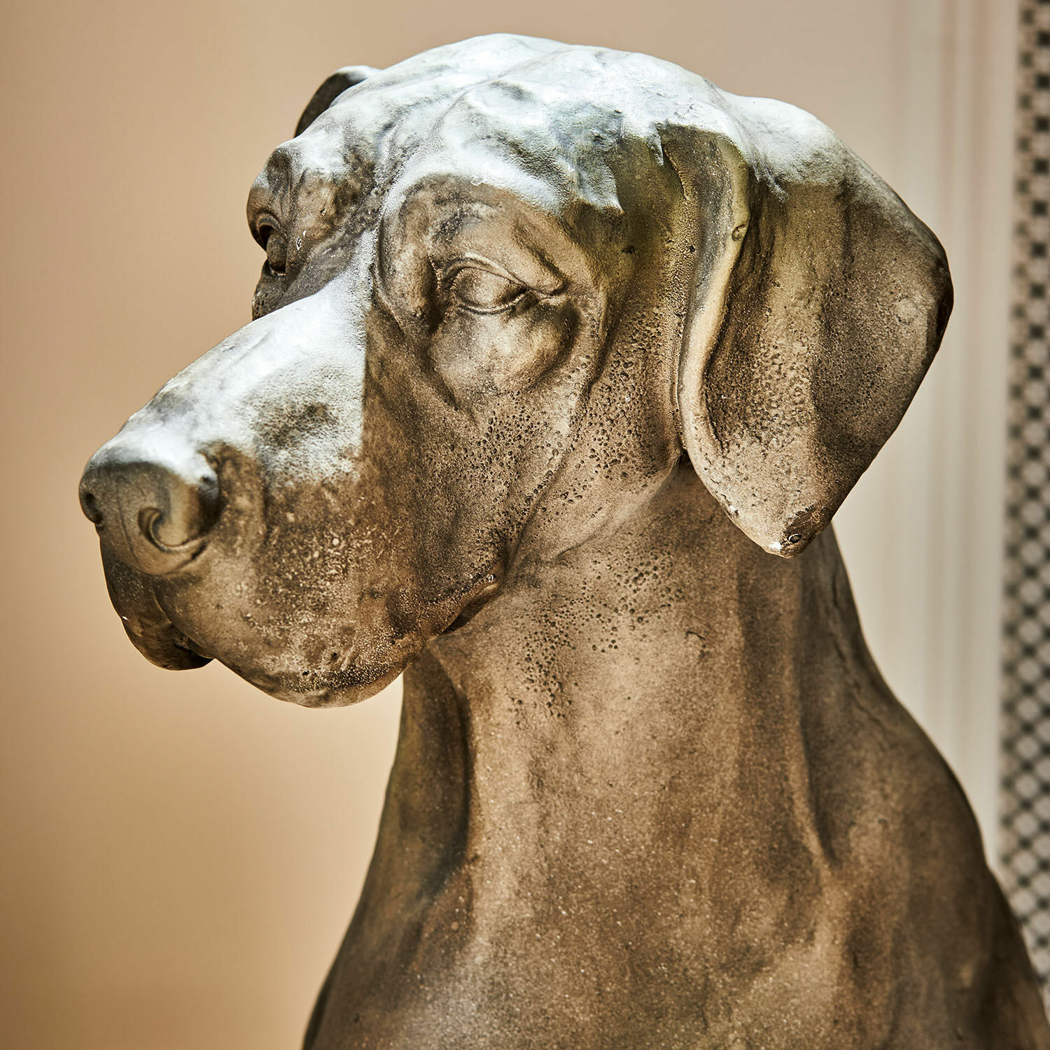 Cane decorativo Jules