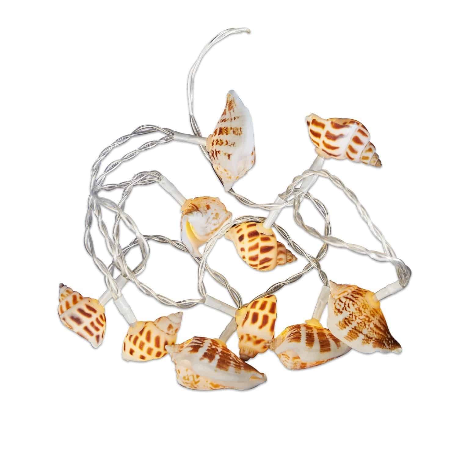 Catena luminosa Muscheln