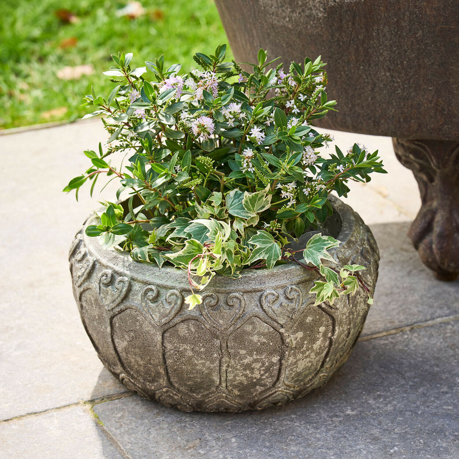 Vaso rotondo in pietra grigia con piante verdi e fiori bianchi su terrazza in pietra