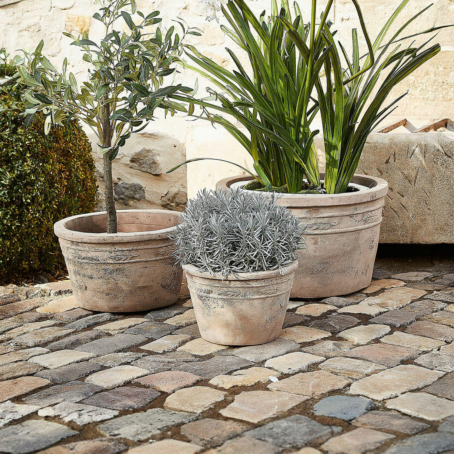 Set di 3 portavasi Unicanto Tre vasi in terracotta color naturale con piante verdi e argentate su un cortile lastricato