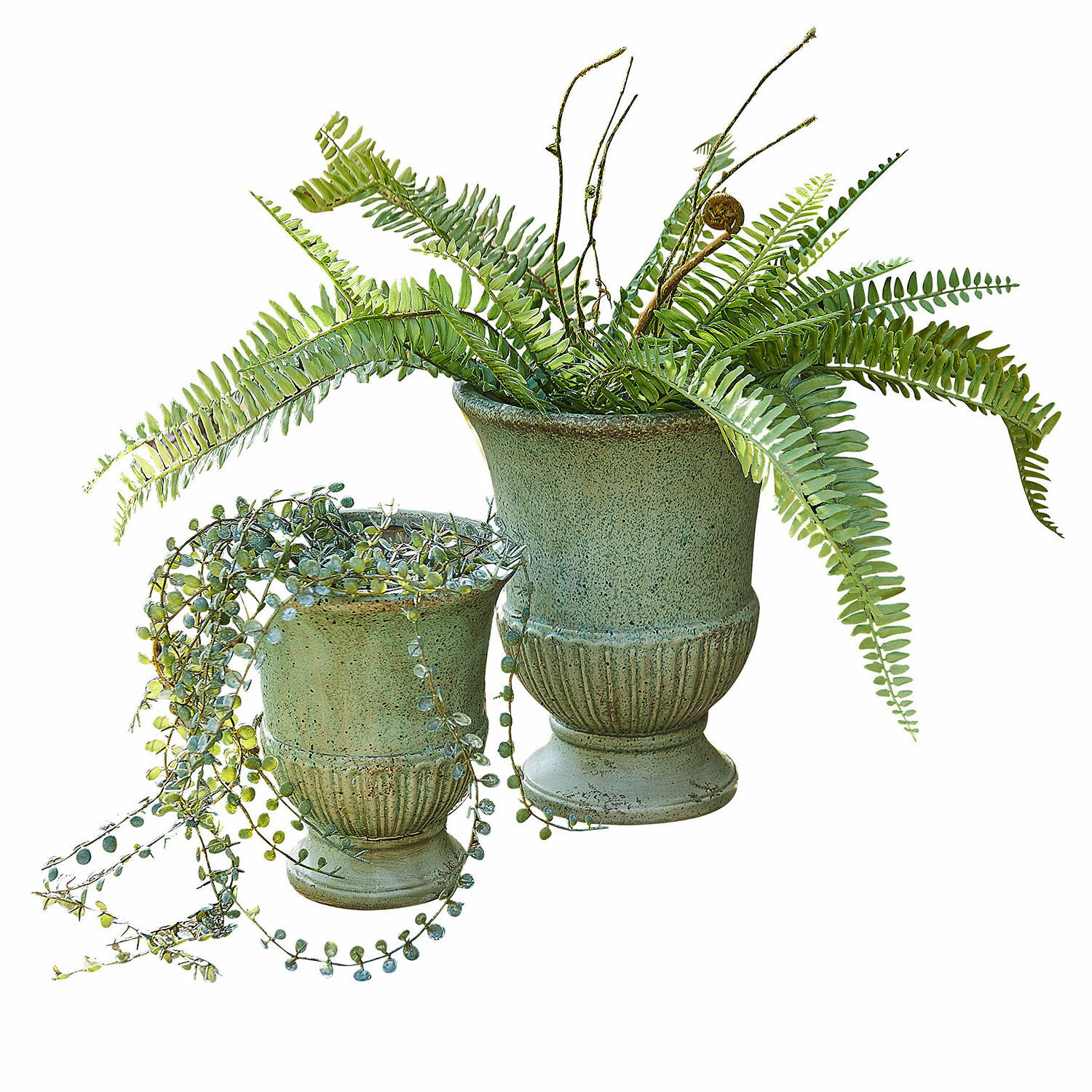Coppia di anfore Jolivaux Set di due vasi in ceramica verde con felci e succulente per decorazione d'interni