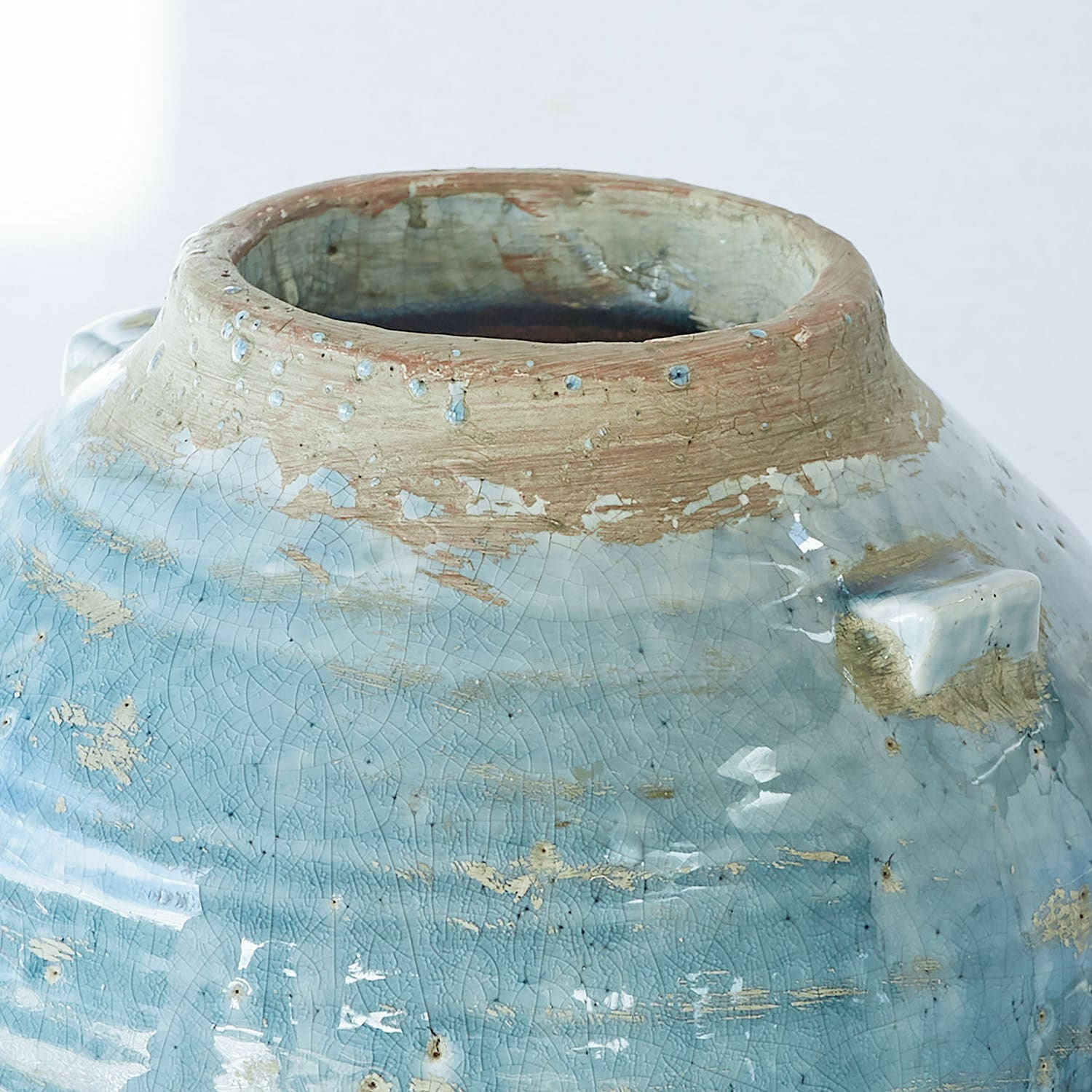 Vaso Trevigno