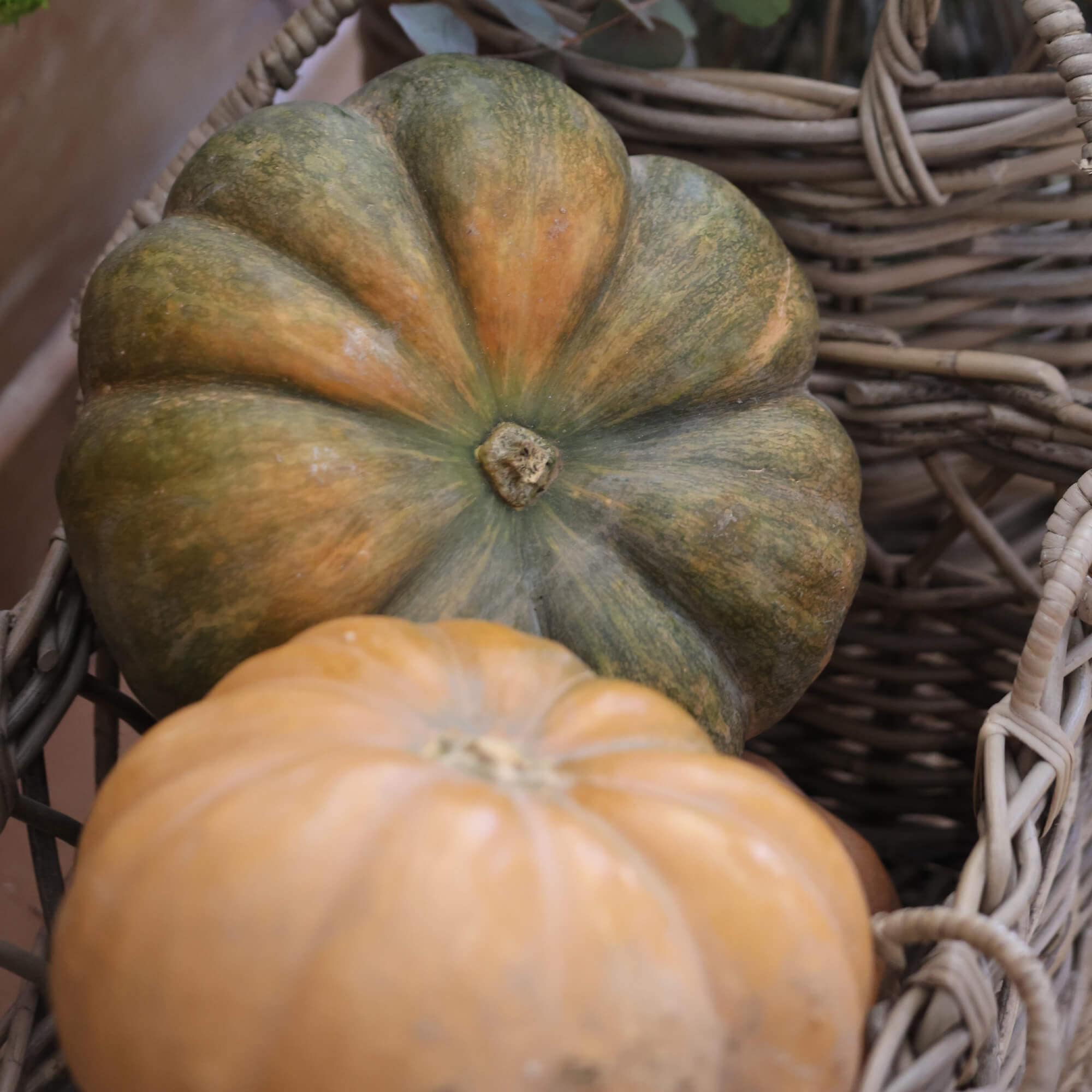 Due zucche in un cesto di vimini, verde-arancione e arancione chiaro, decorazione autunnale
