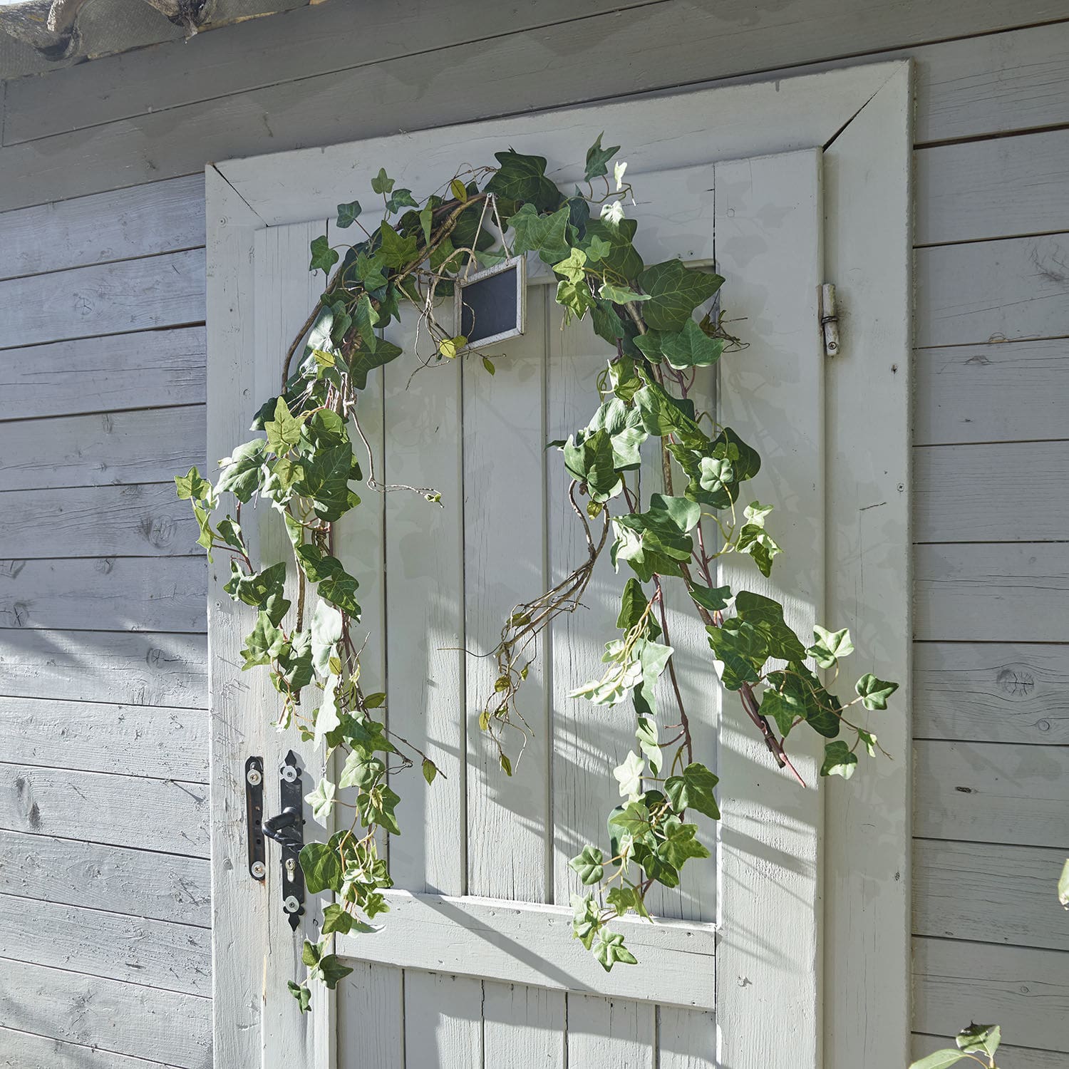 Coppia di rampicanti decorativi Plaisance
