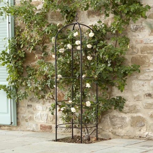 Griglia da giardino in metallo nero per piante rampicanti davanti a muro di pietra con fogliame verde