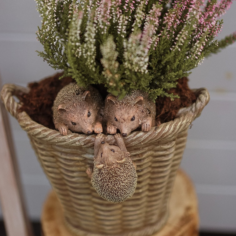 Vaso in resina effetto vimini con decorazione di tre ricci e erica fiorita verde e rosa