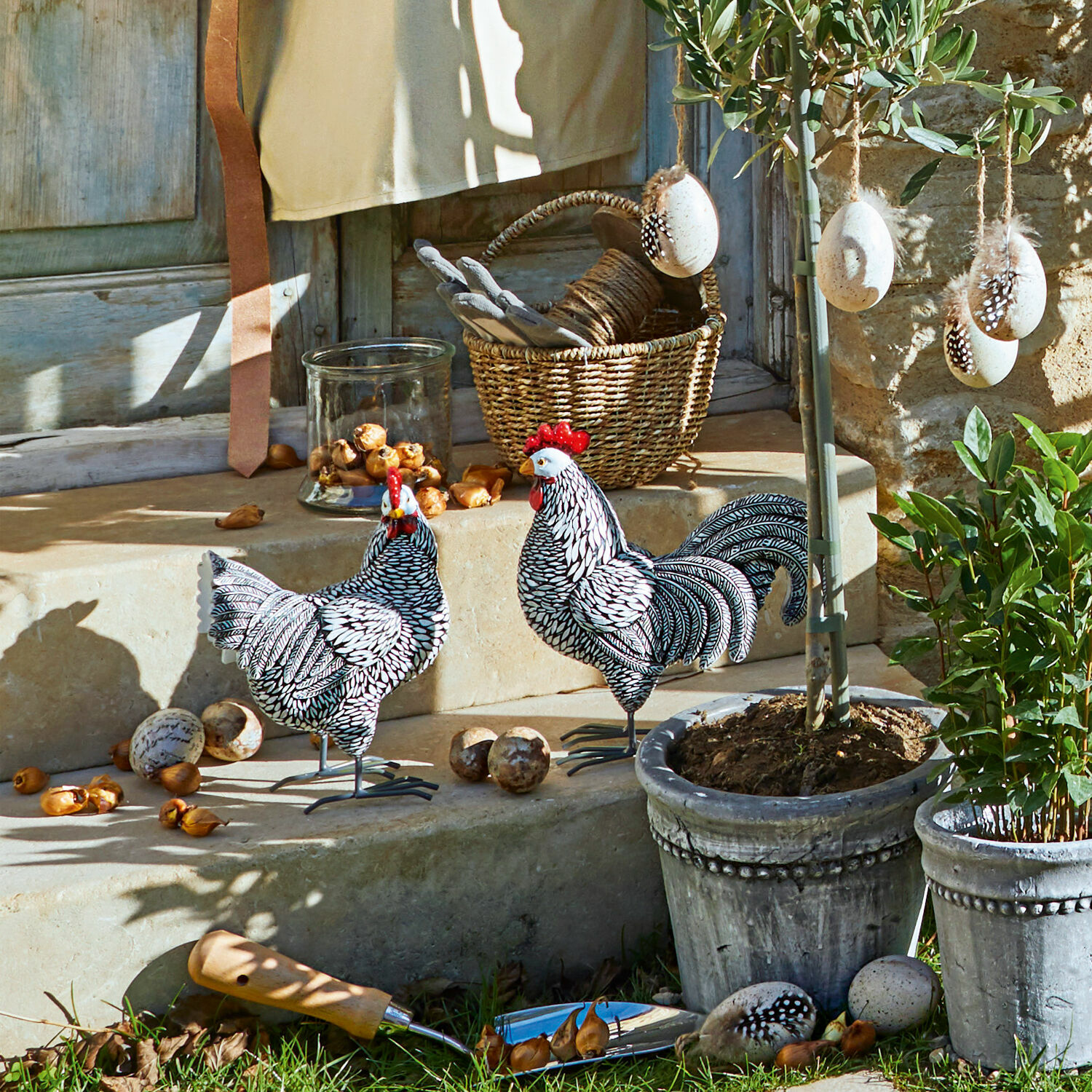 Coppia di galline decorative Mannis