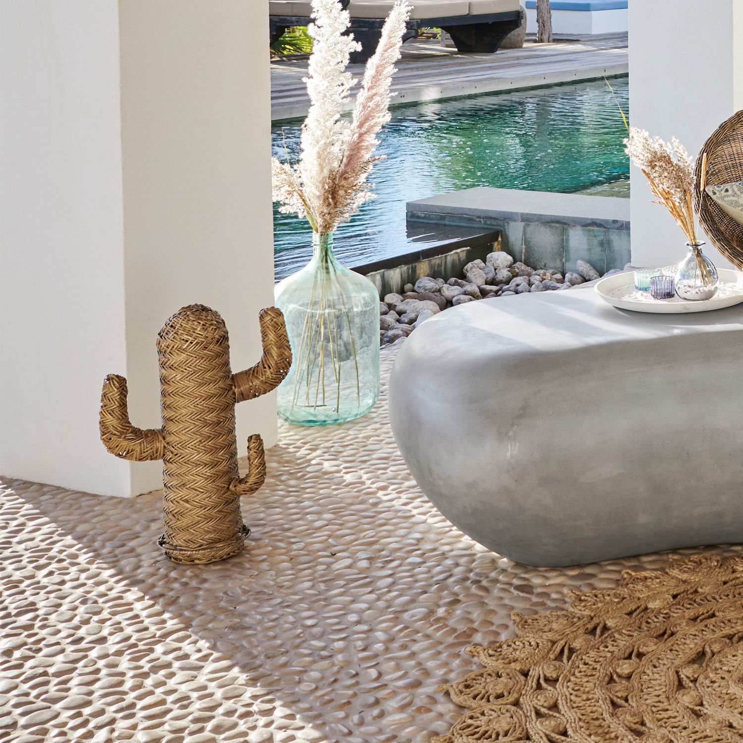 Cactus decorativo Basse