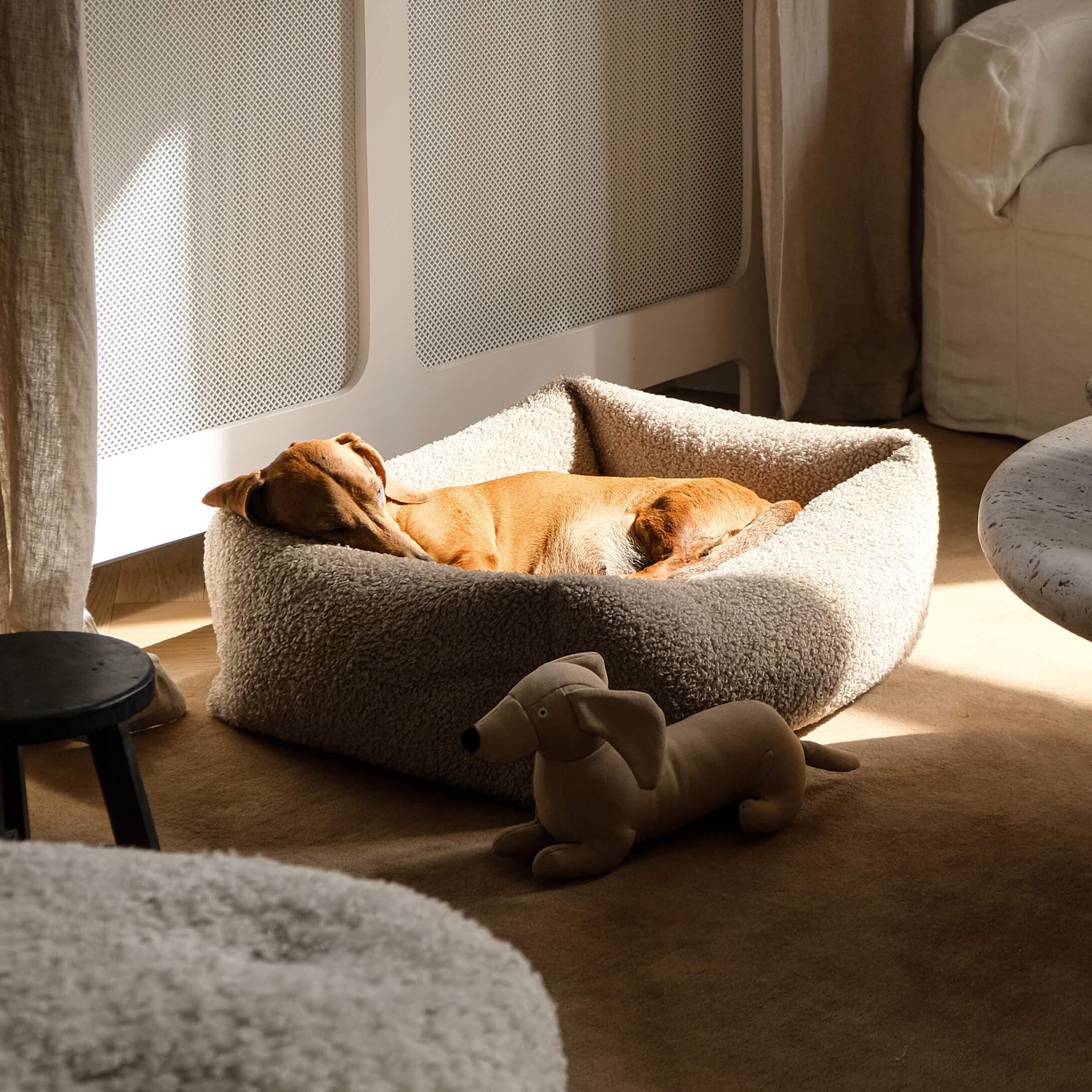 Cane marrone che dorme in un morbido letto per cani beige in una stanza luminosa