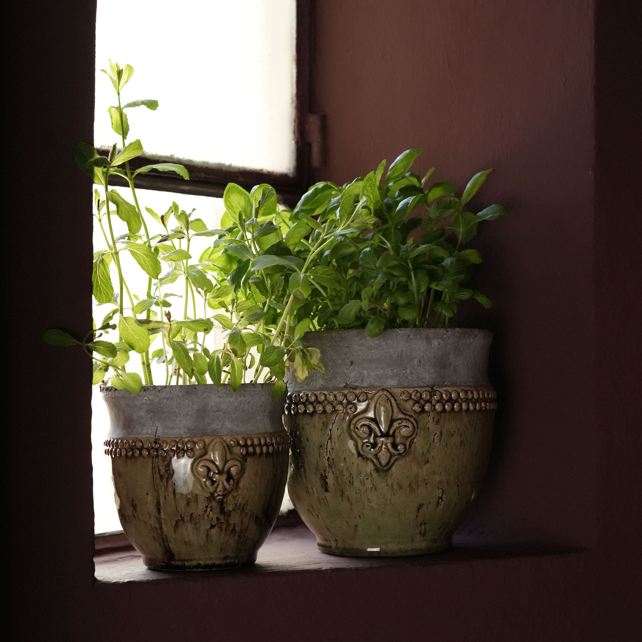 Due vasi in ceramica con piante verdi sul davanzale della finestra, motivi decorativi