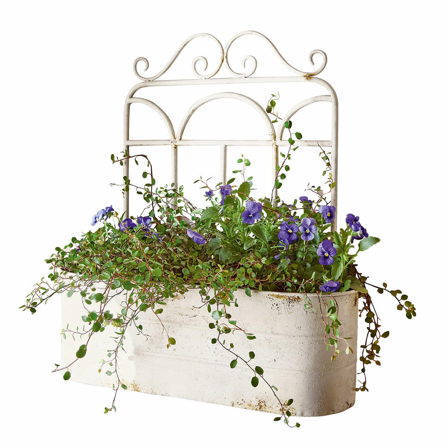 Portapiante Marwin Fioriera in metallo bianco con fiori viola e fogliame verde per decorazione da giardino