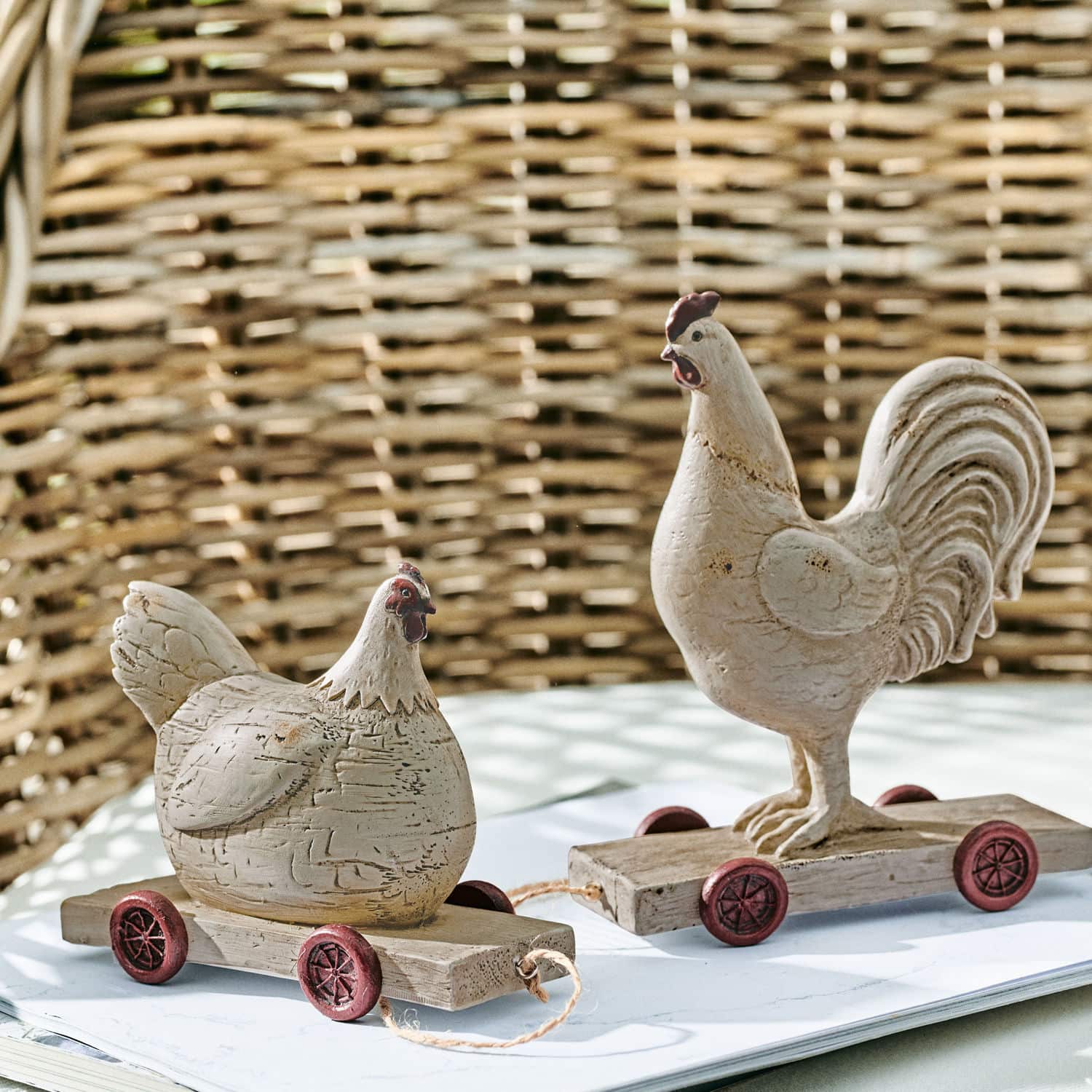 Gallo e gallina Mesnil