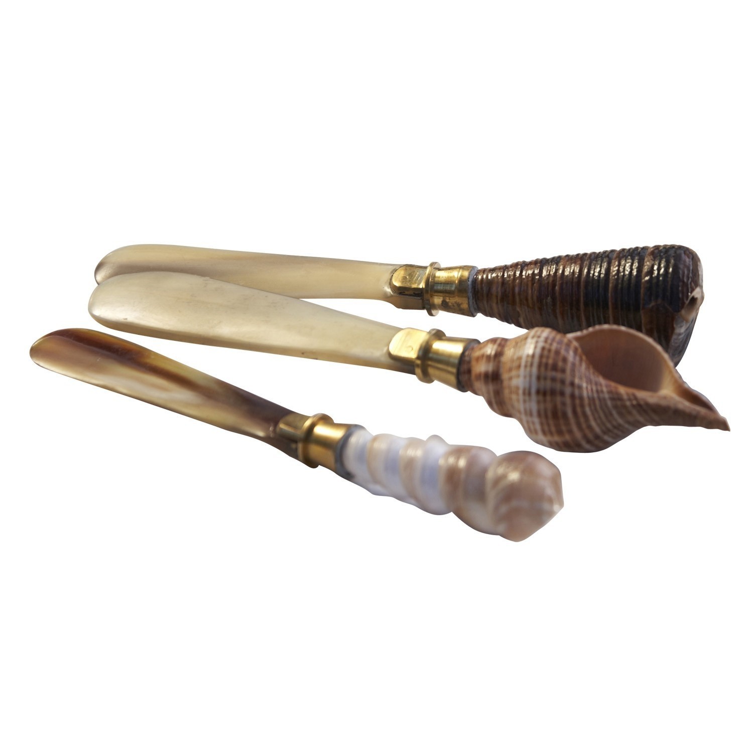 Set di 4 coltelli da burro Ruby
