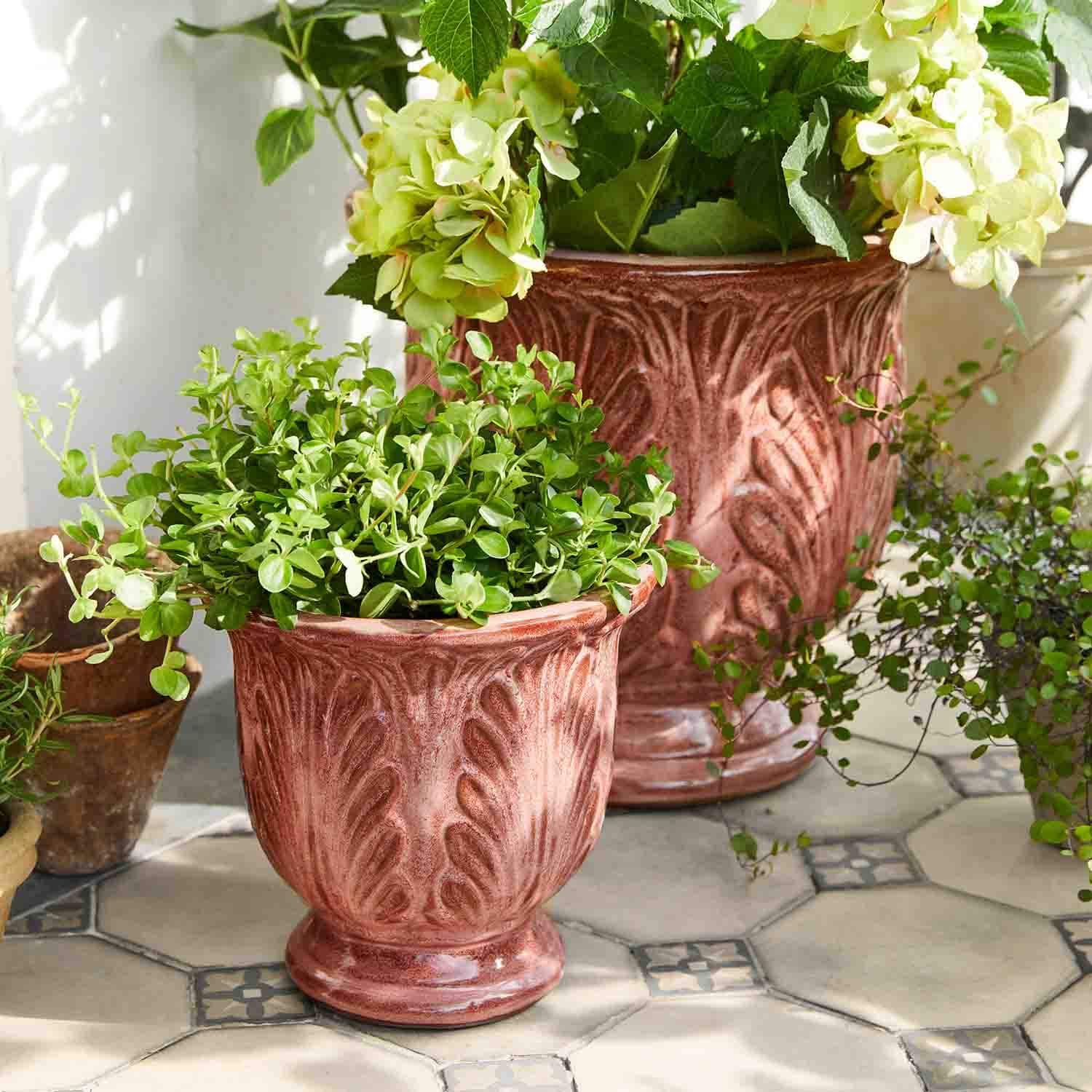 Vasi in ceramica color ruggine con piante verdi su pavimento chiaro a piastrelle, motivi decorativi