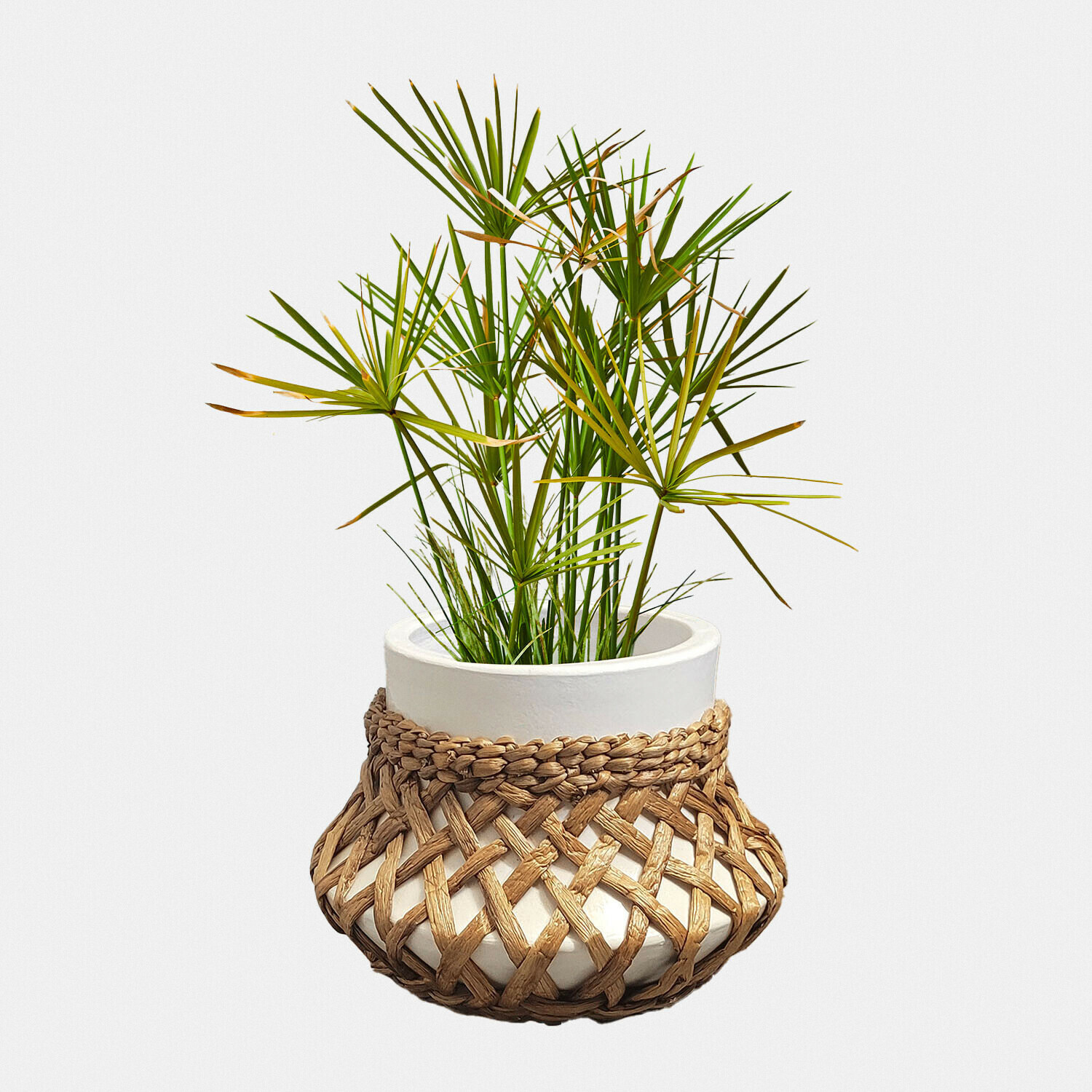 Portavaso Amariel