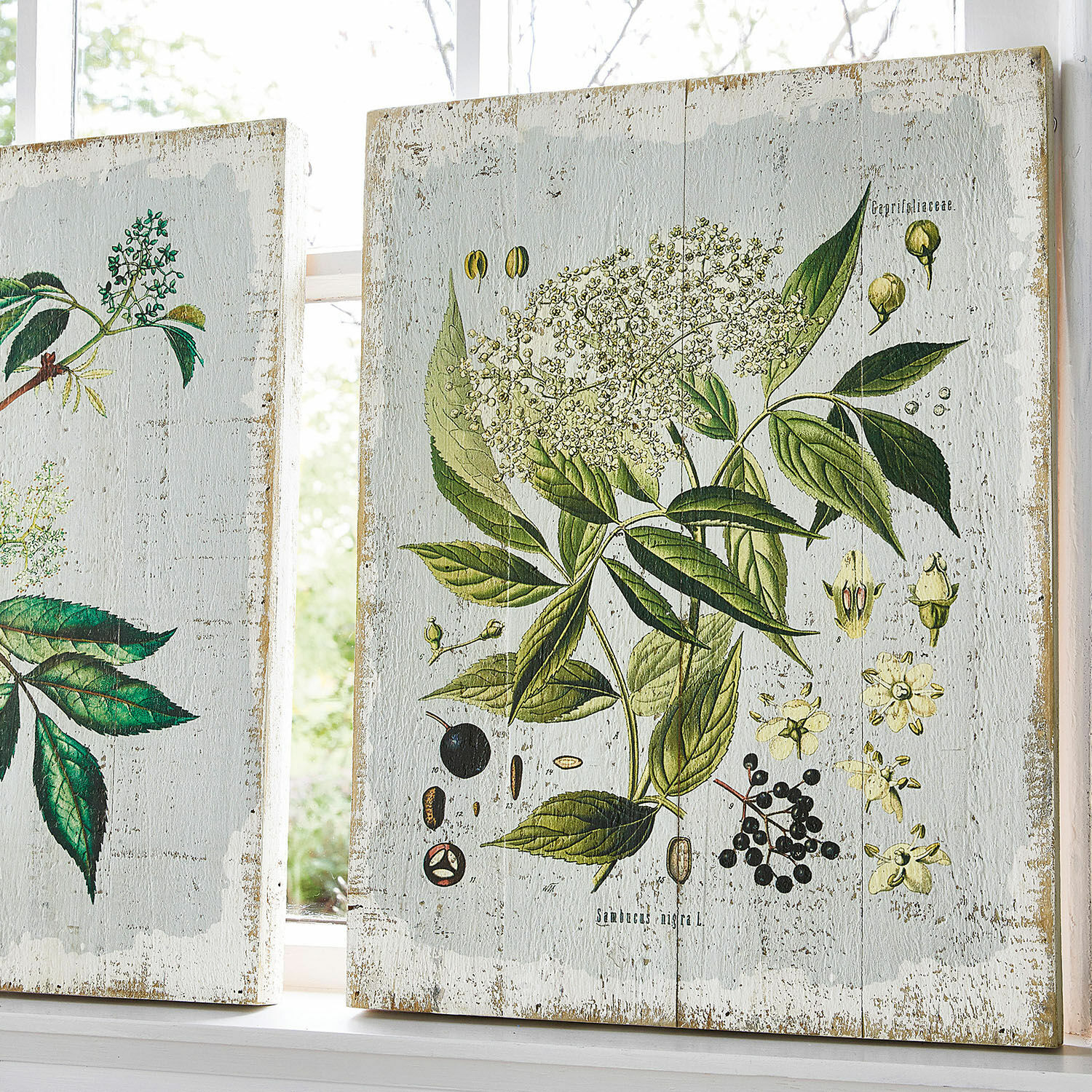 Coppia di quadretti decorativi Loanne