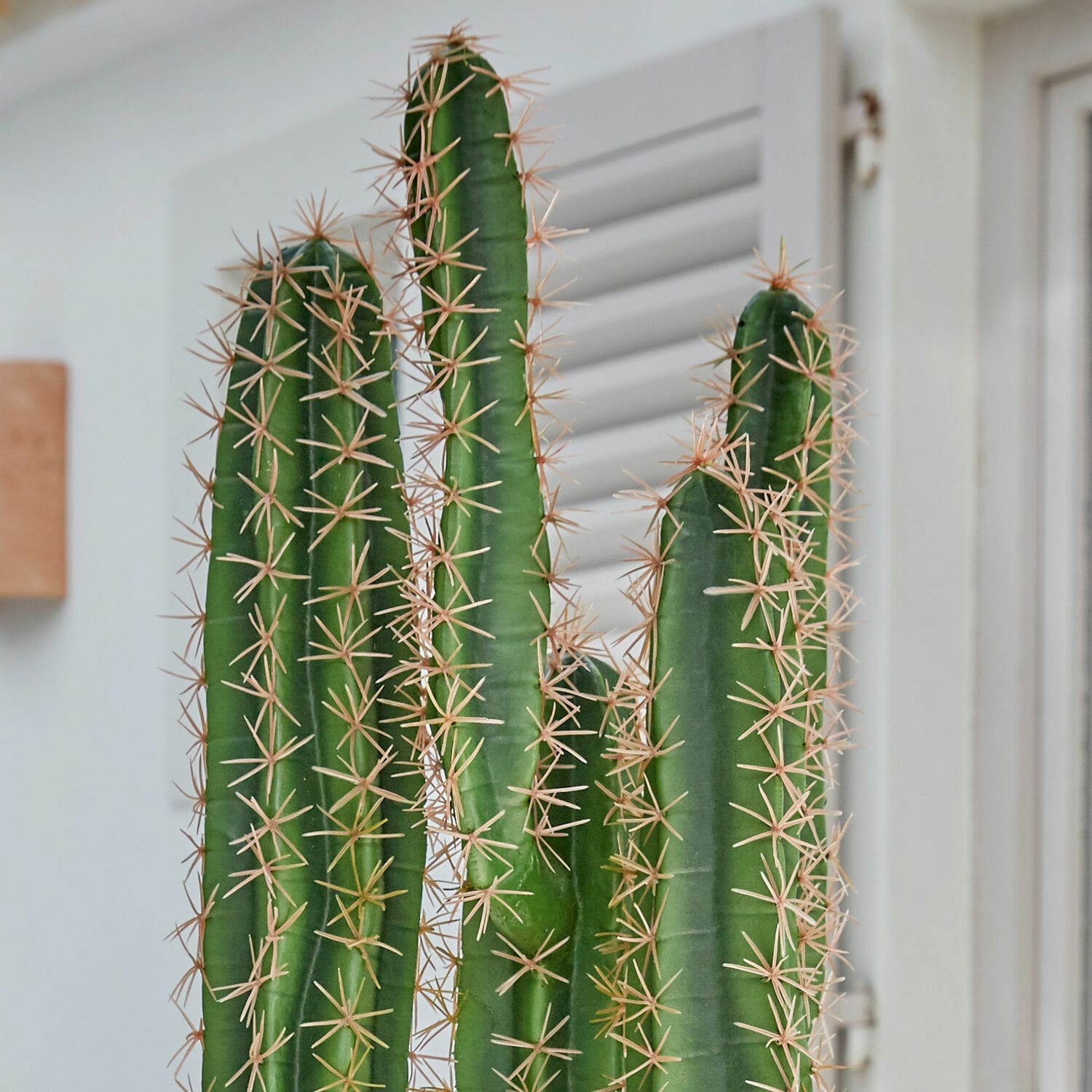 Pianta in vaso decorativa Campana