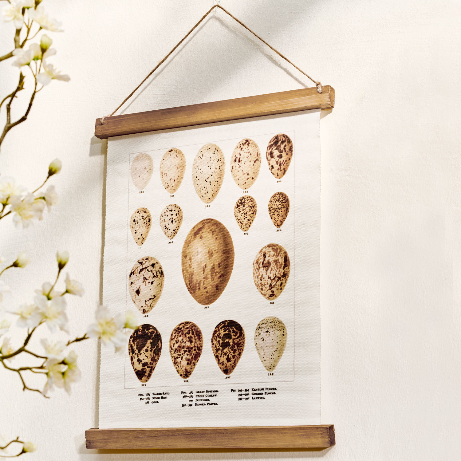 Stampa Taibor Stampa su tela con illustrazioni di uova di uccelli in tonalità marroni e beige con supporto in legno