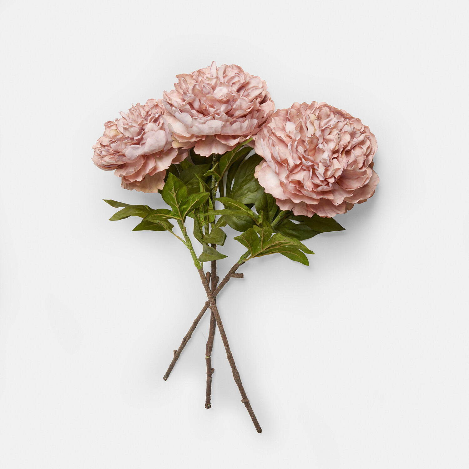 Set di 3 peonie decorative Dahlyra