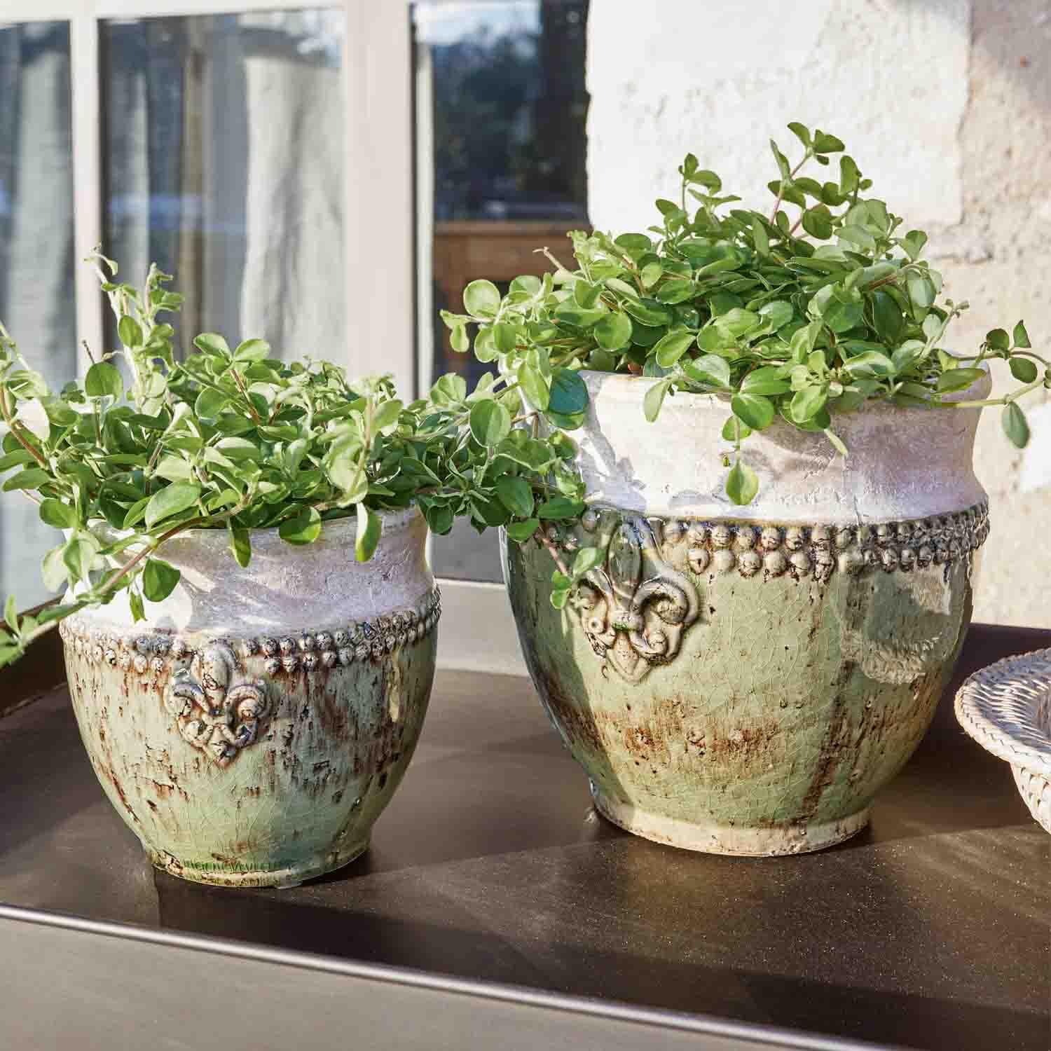 Due vasi in ceramica verde e bianca con piante e decorazioni, su tavolo soleggiato all'aperto