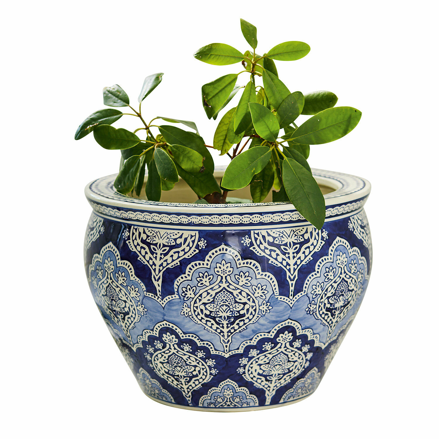 Portavaso Aurélie