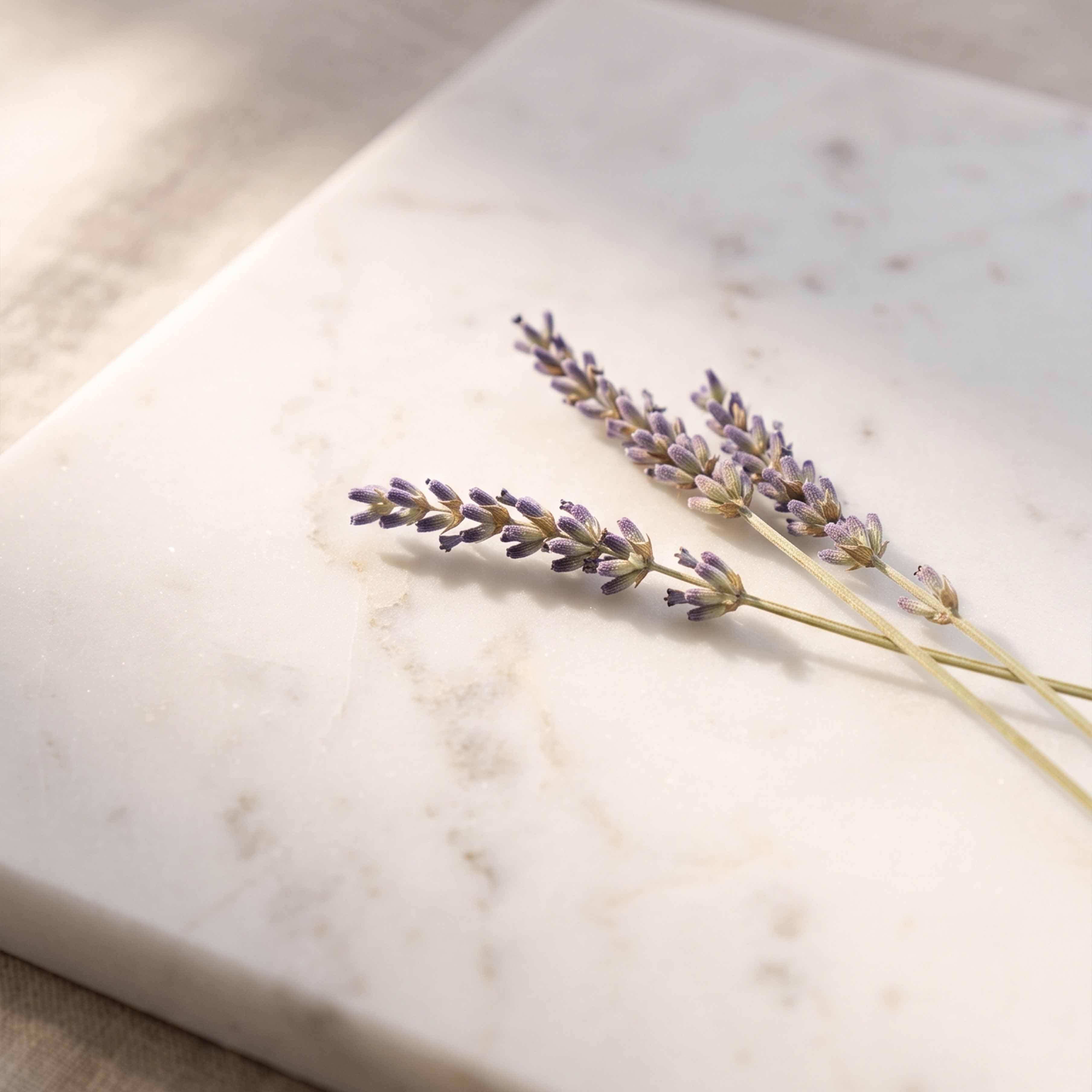 Rami di lavanda essiccata viola su sfondo chiaro in marmo per decorazione naturale