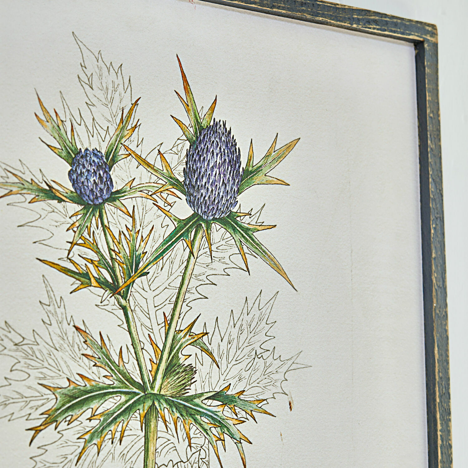 Quadro Épine