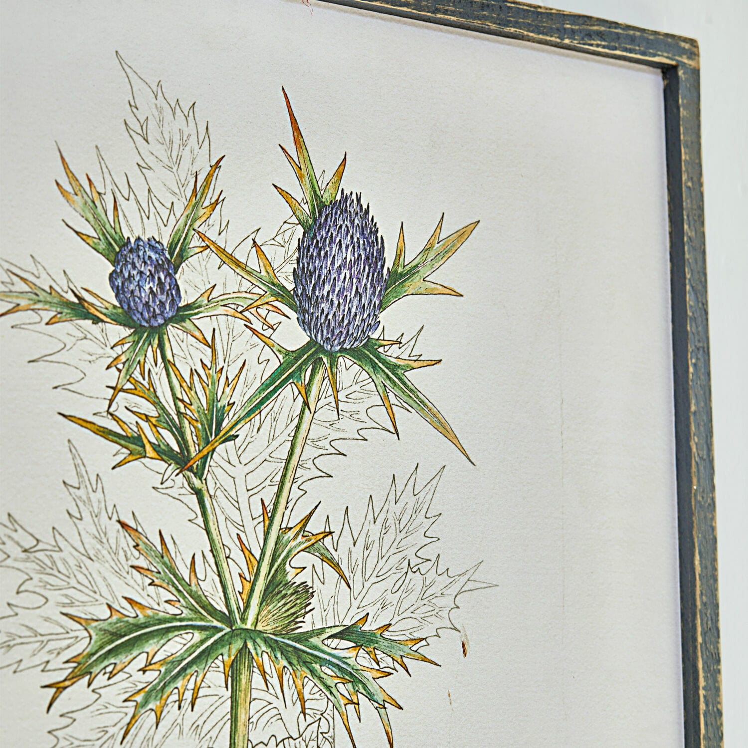 Quadro Épine