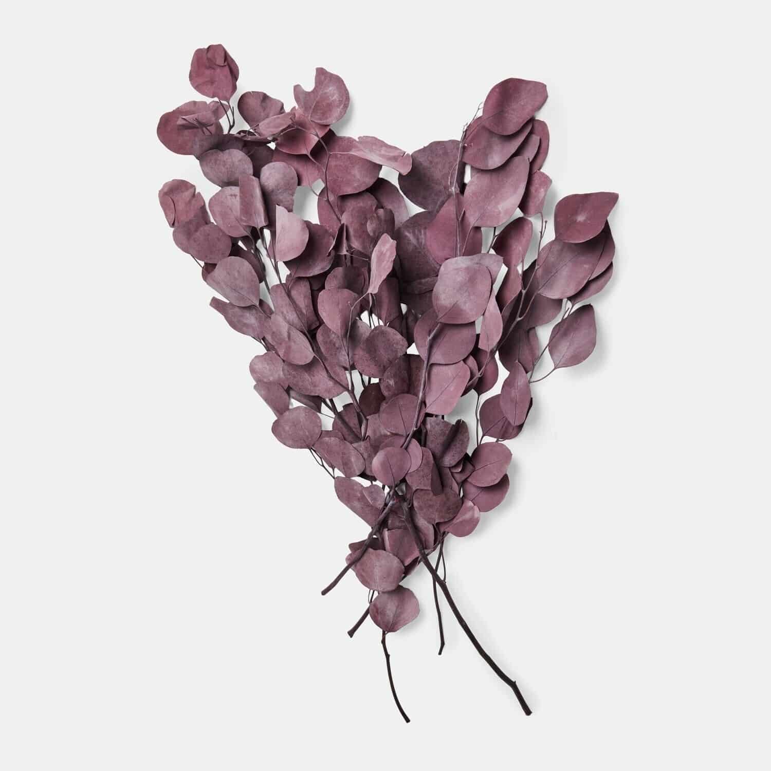 Ramo decorativo Ianthee