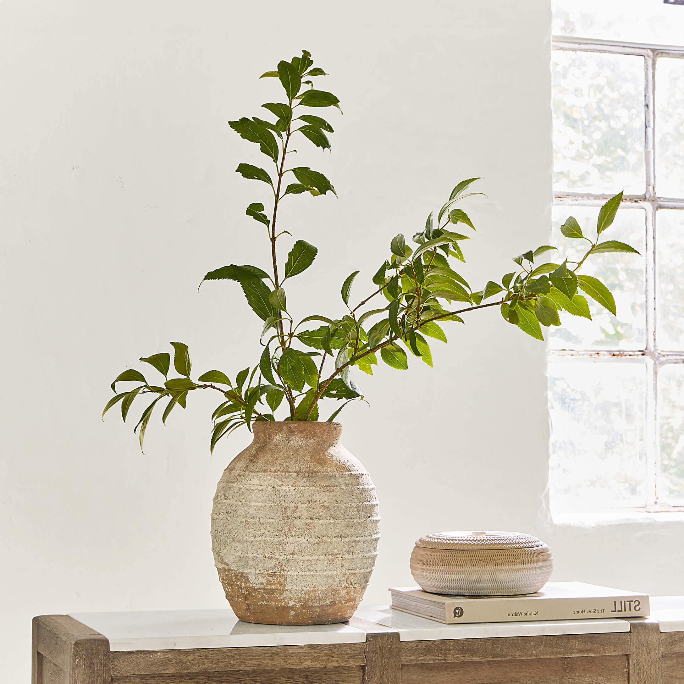 Vaso rustico in ceramica beige con foglie verdi su mobile in legno con piano in marmo