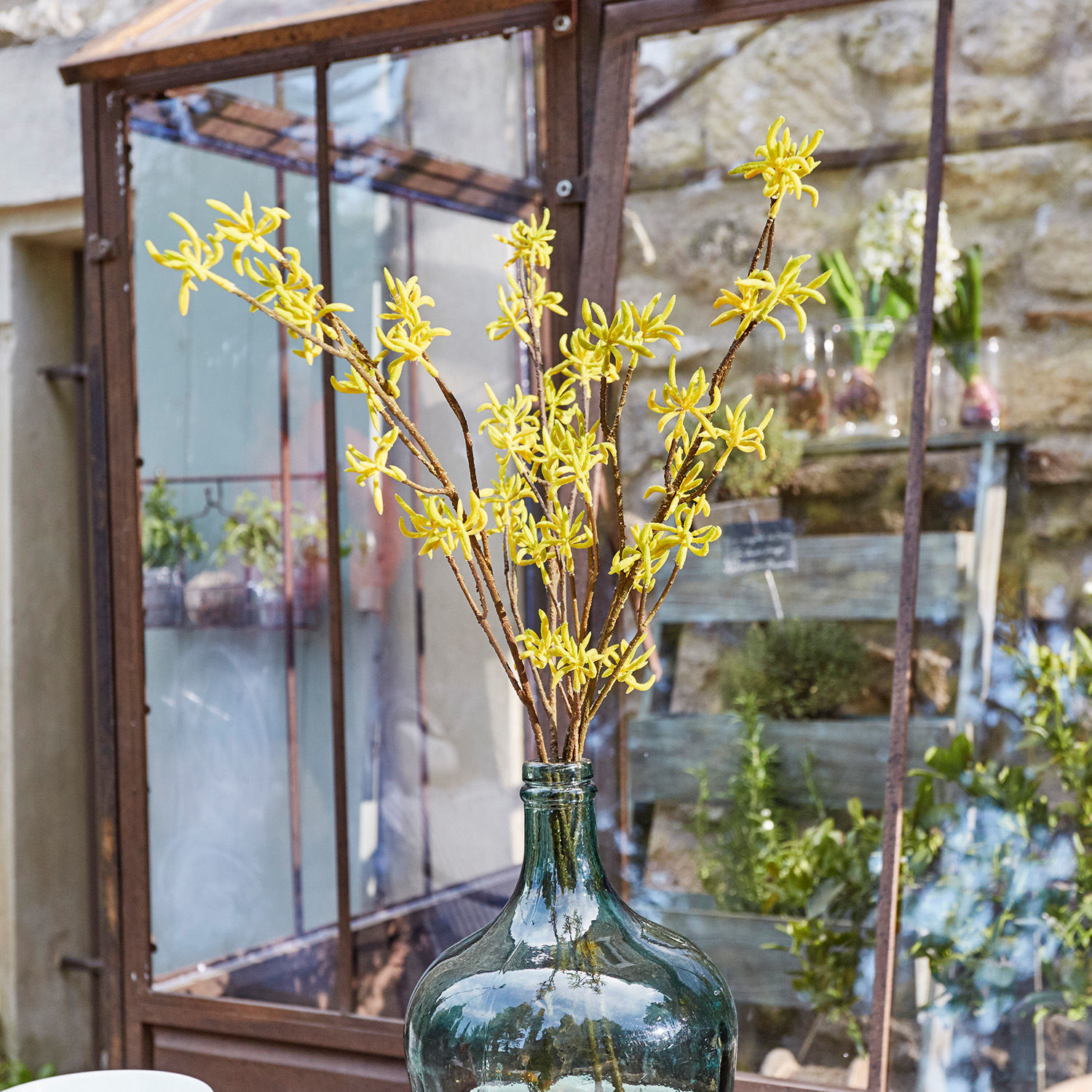 Set di 3 fiori decorativi Gillery Rami gialli in grande bottiglia di vetro verde davanti a giardino e serra