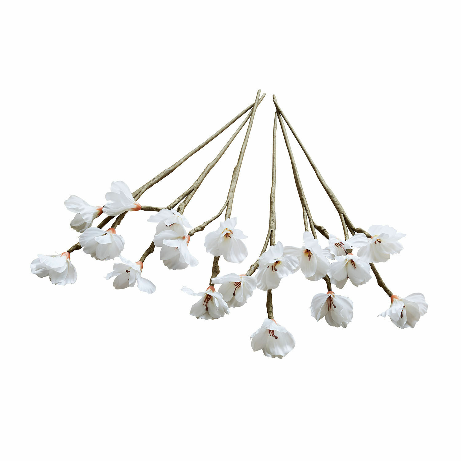 Set di 6 fiori decorativi Xivale