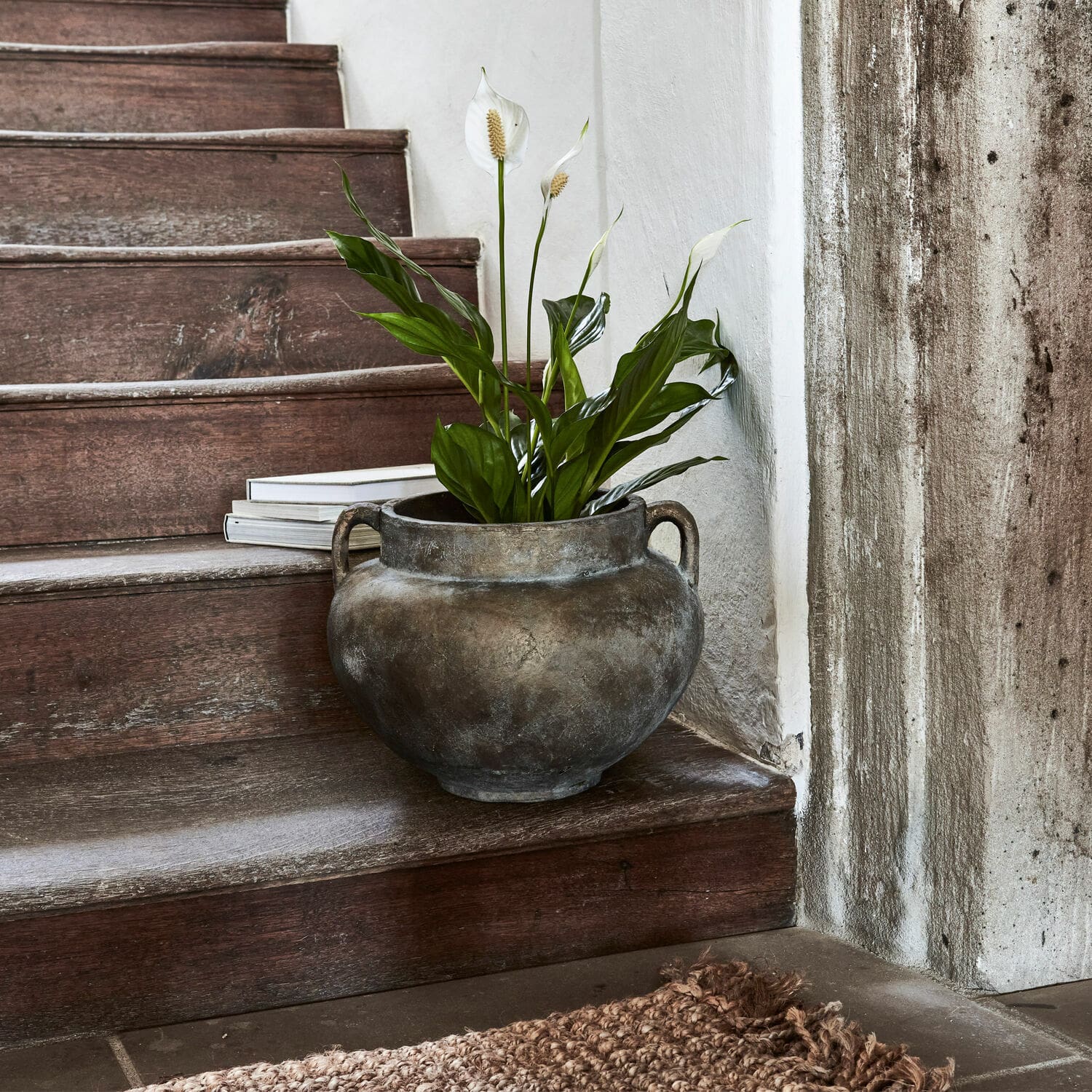 Vaso Rieux