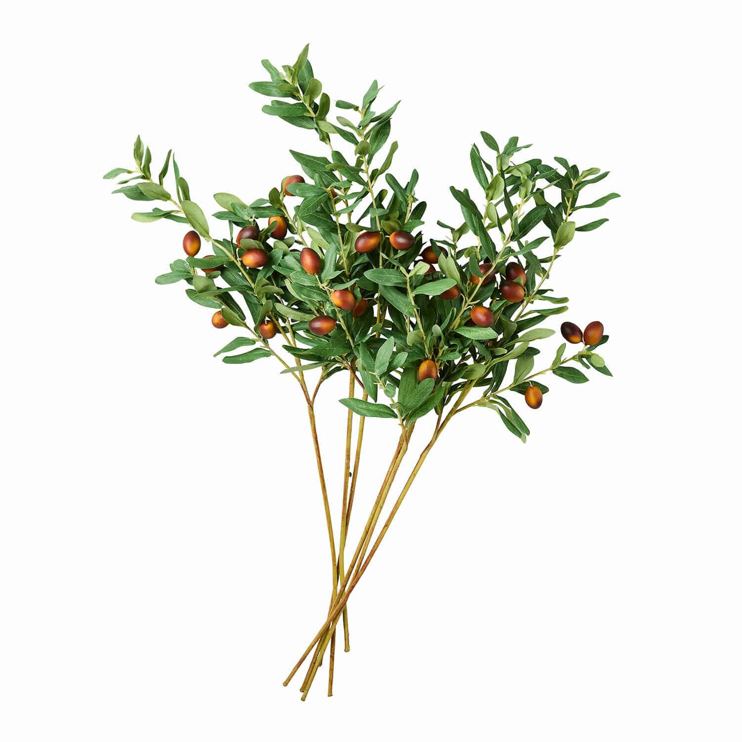 Set di 6 rami decorativi di ulivo con foglie verdi e frutti marroni per interni