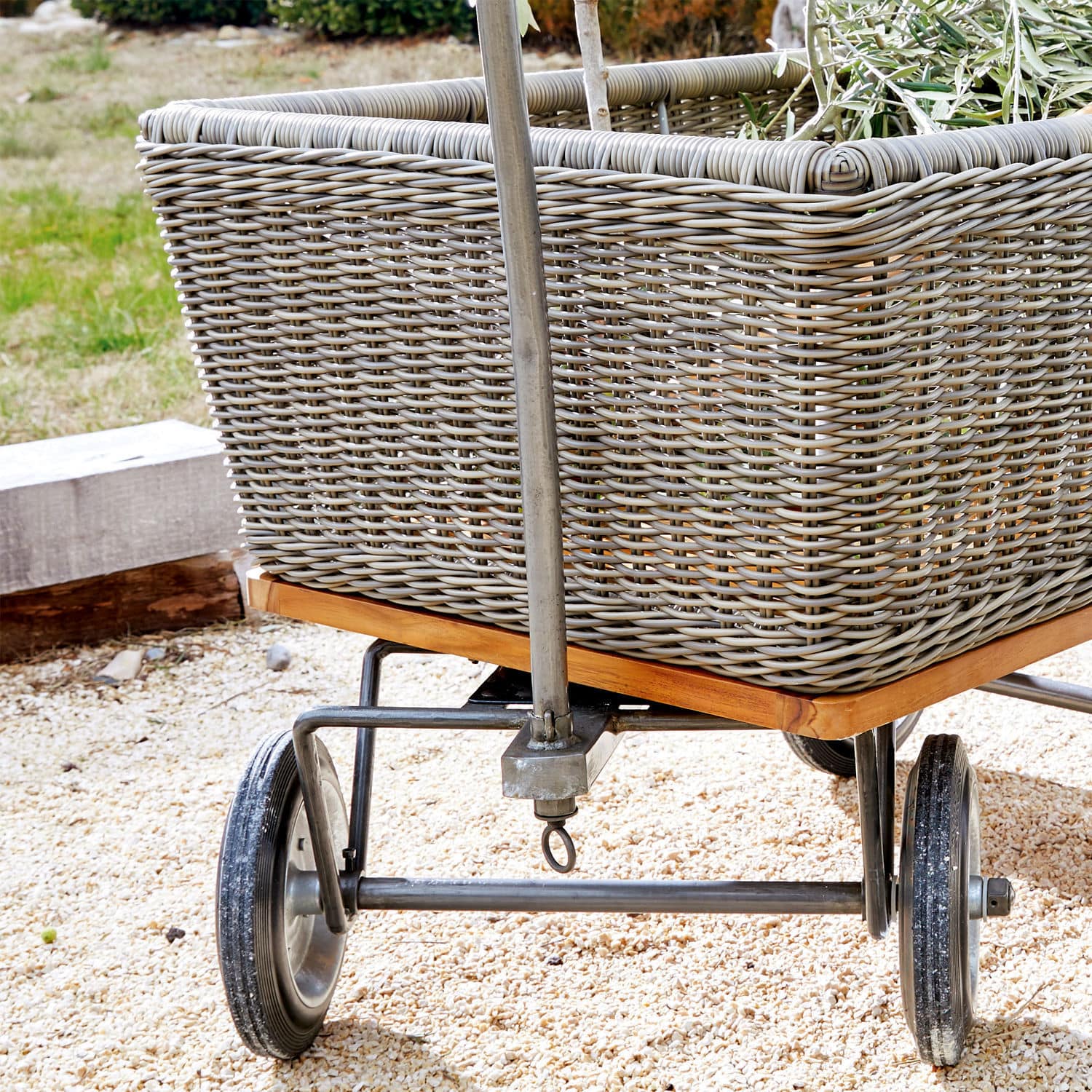 Carrello Kapoor