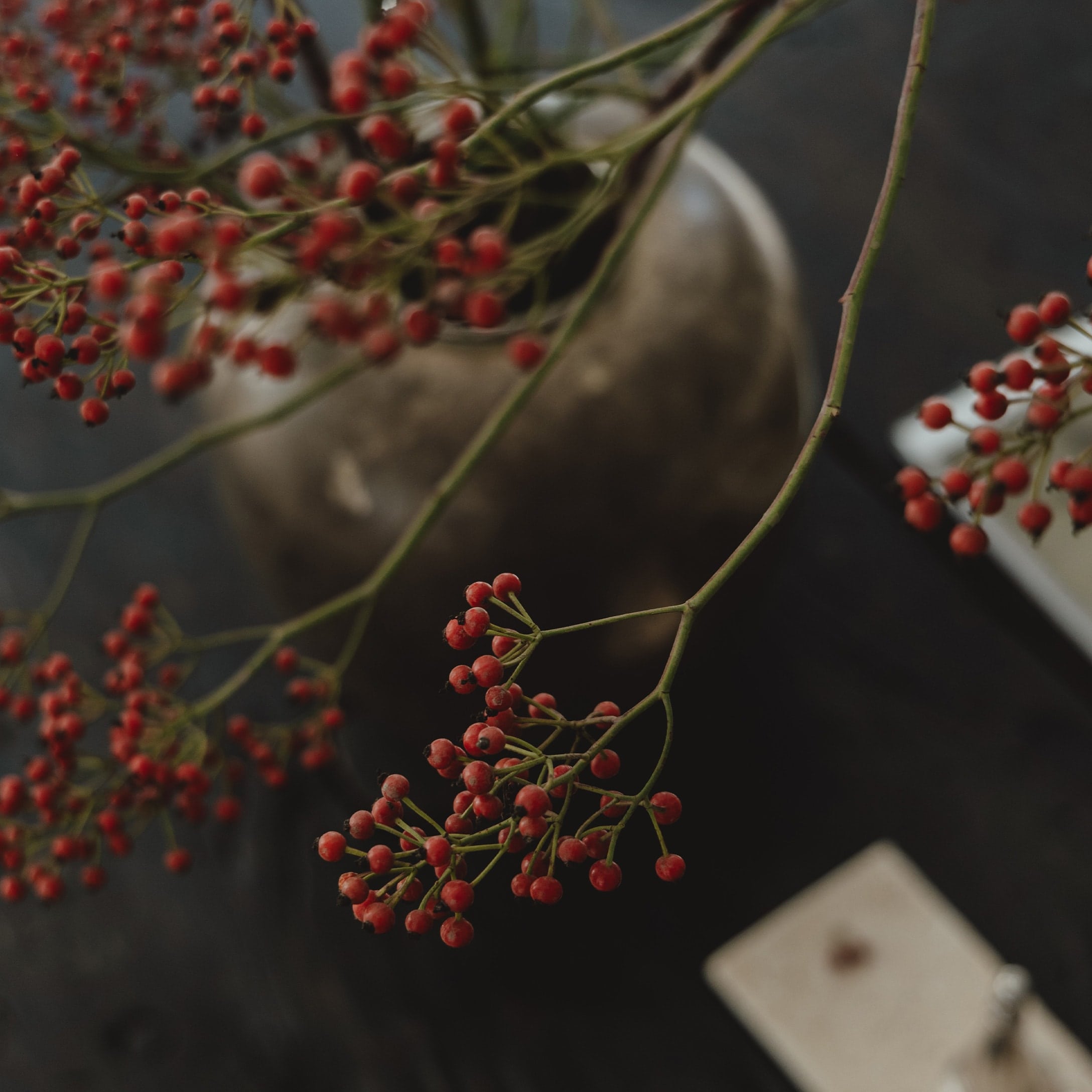 Rami con bacche rosse davanti a un vaso grigio opaco su tavolo decorativo scuro