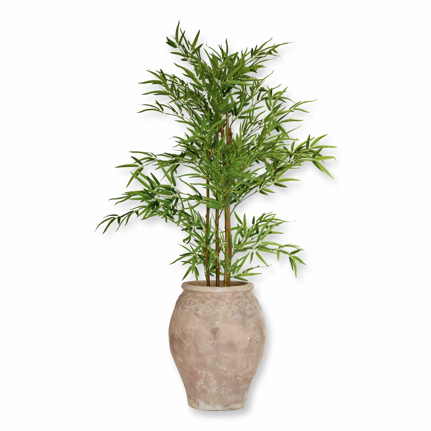 Pianta in vaso decorativa Ligron