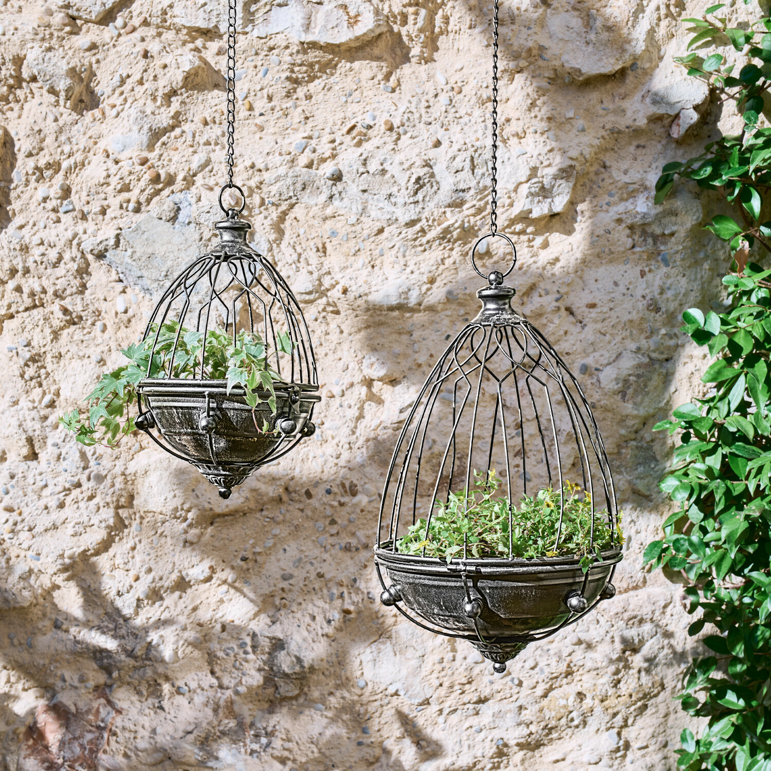 Coppia di voliere Yserande Fioriere sospese in metallo nero a forma di gabbia con piante verdi davanti a muro di pietra