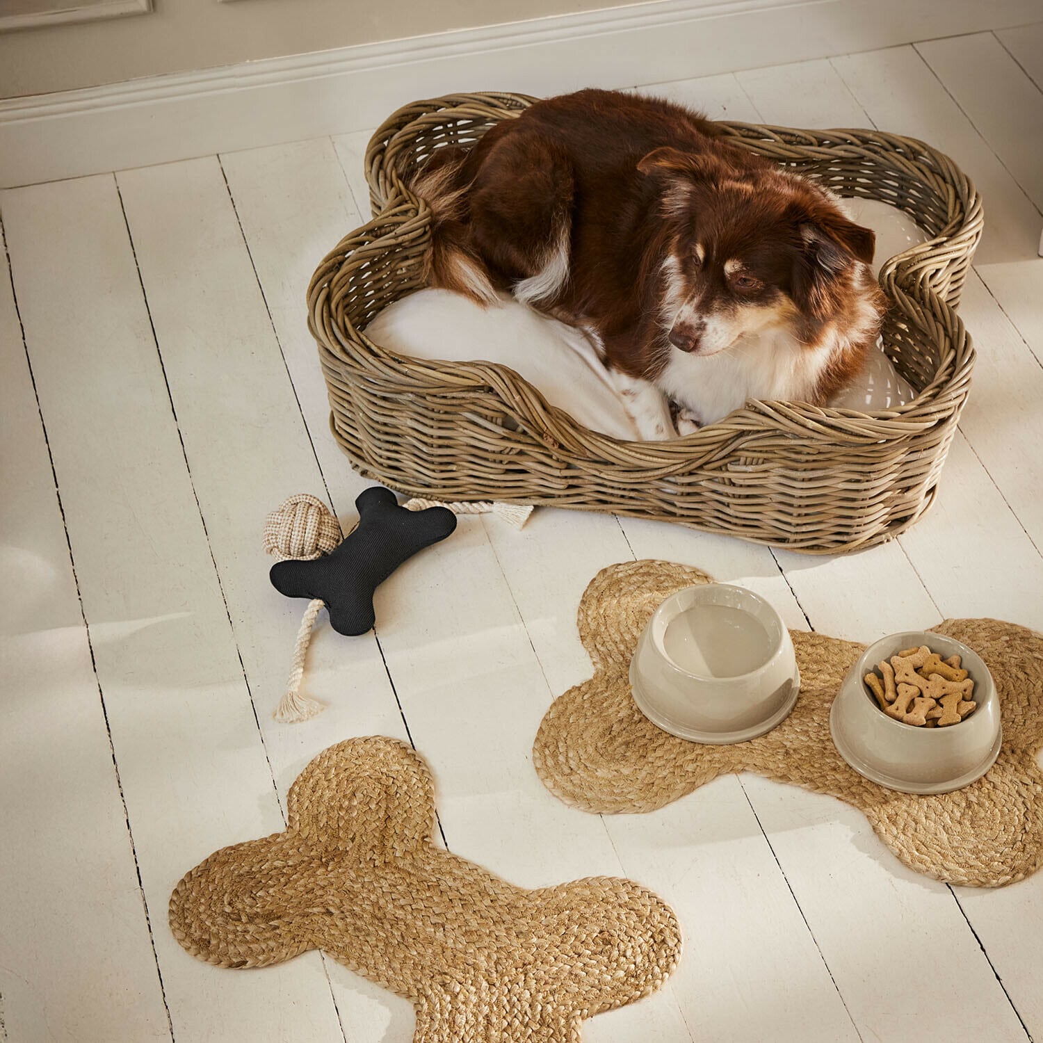 Giocattolo per animali Wuffsy