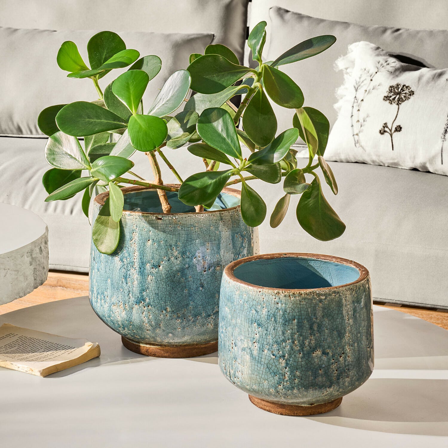 Coppia di portavasi Mavoreta Due fioriere in ceramica blu con effetto craquelé, una con pianta verde, su tavolo bianco in soggiorno