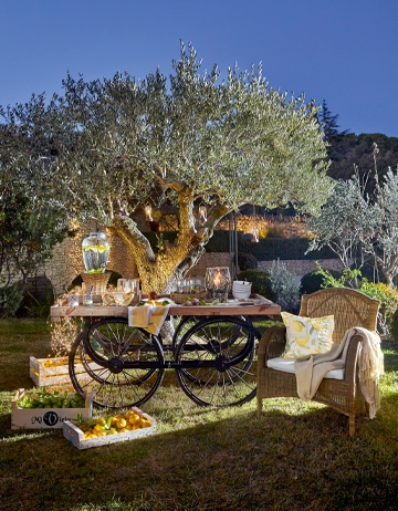 Notti d’Estate