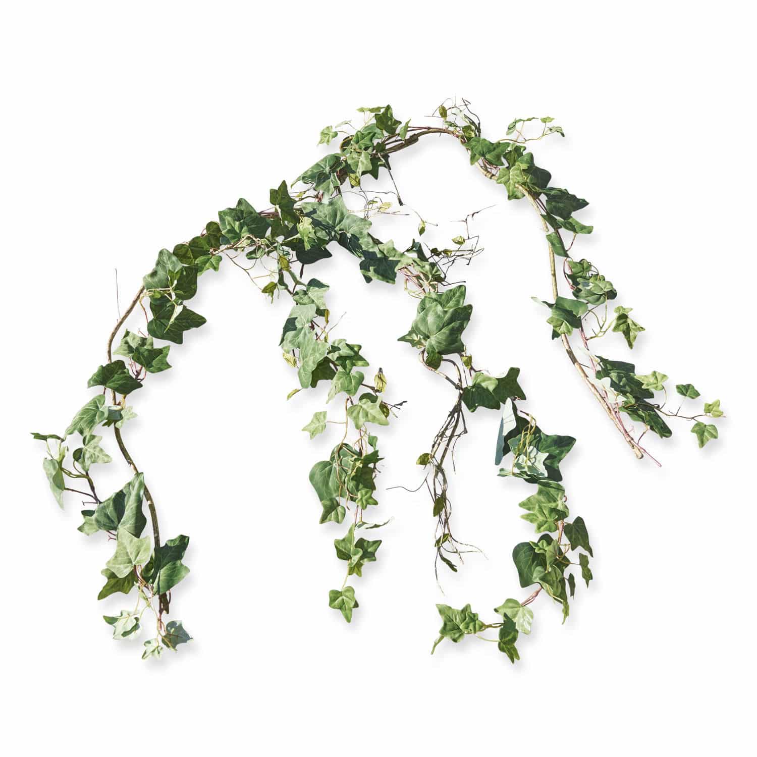 Coppia di rampicanti decorativi Plaisance