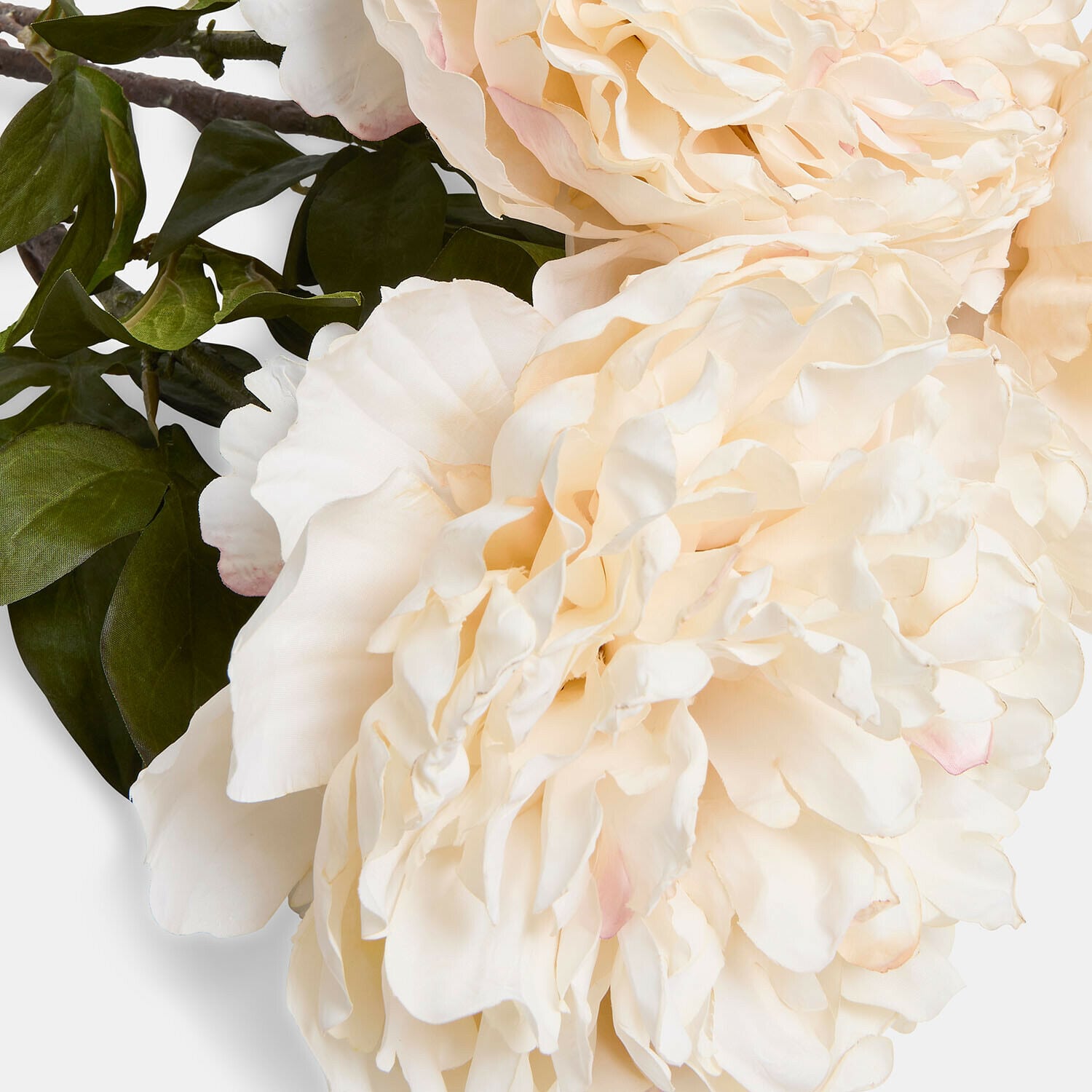 Set di 3 peonie decorative Néravelle